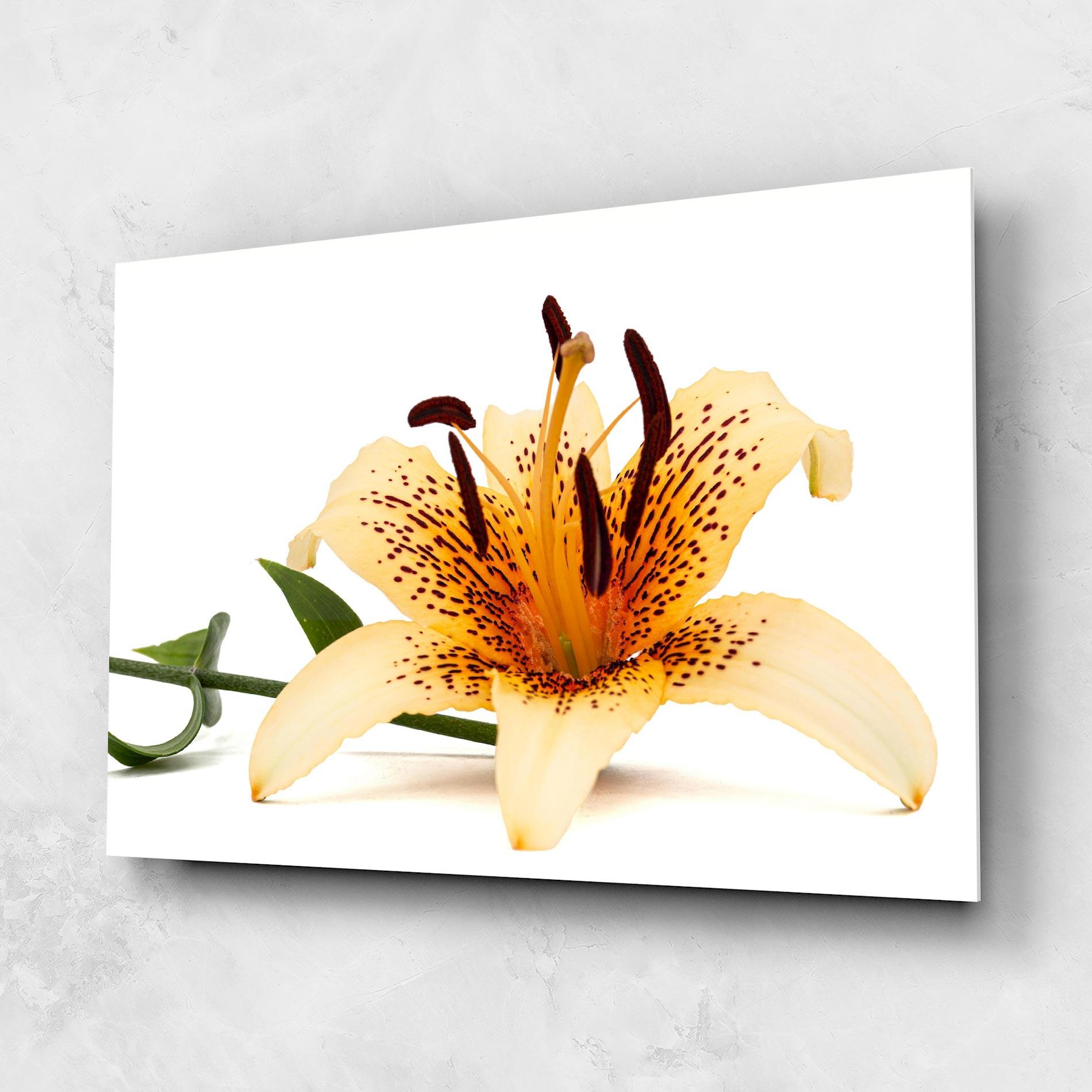 Tablou Sticla Big Yellow Lily mockup 1