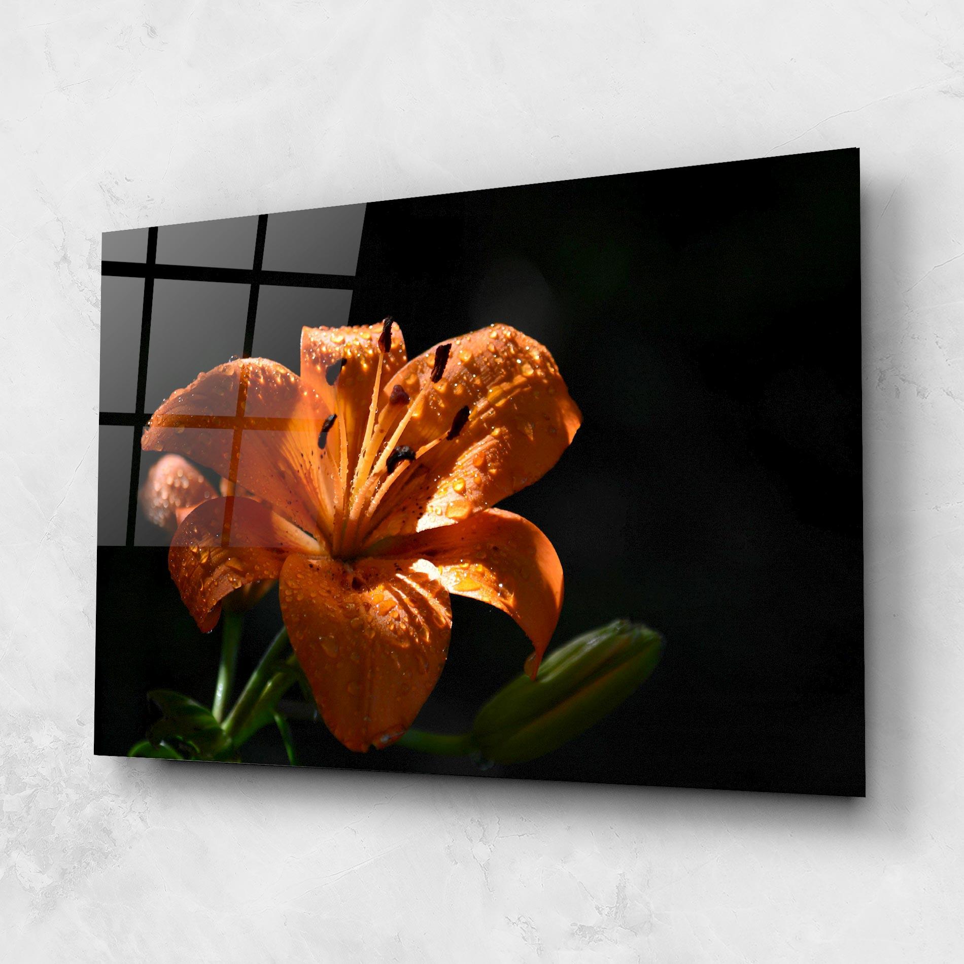 Tablou Sticla Open Orange Lily On Black mockup 1