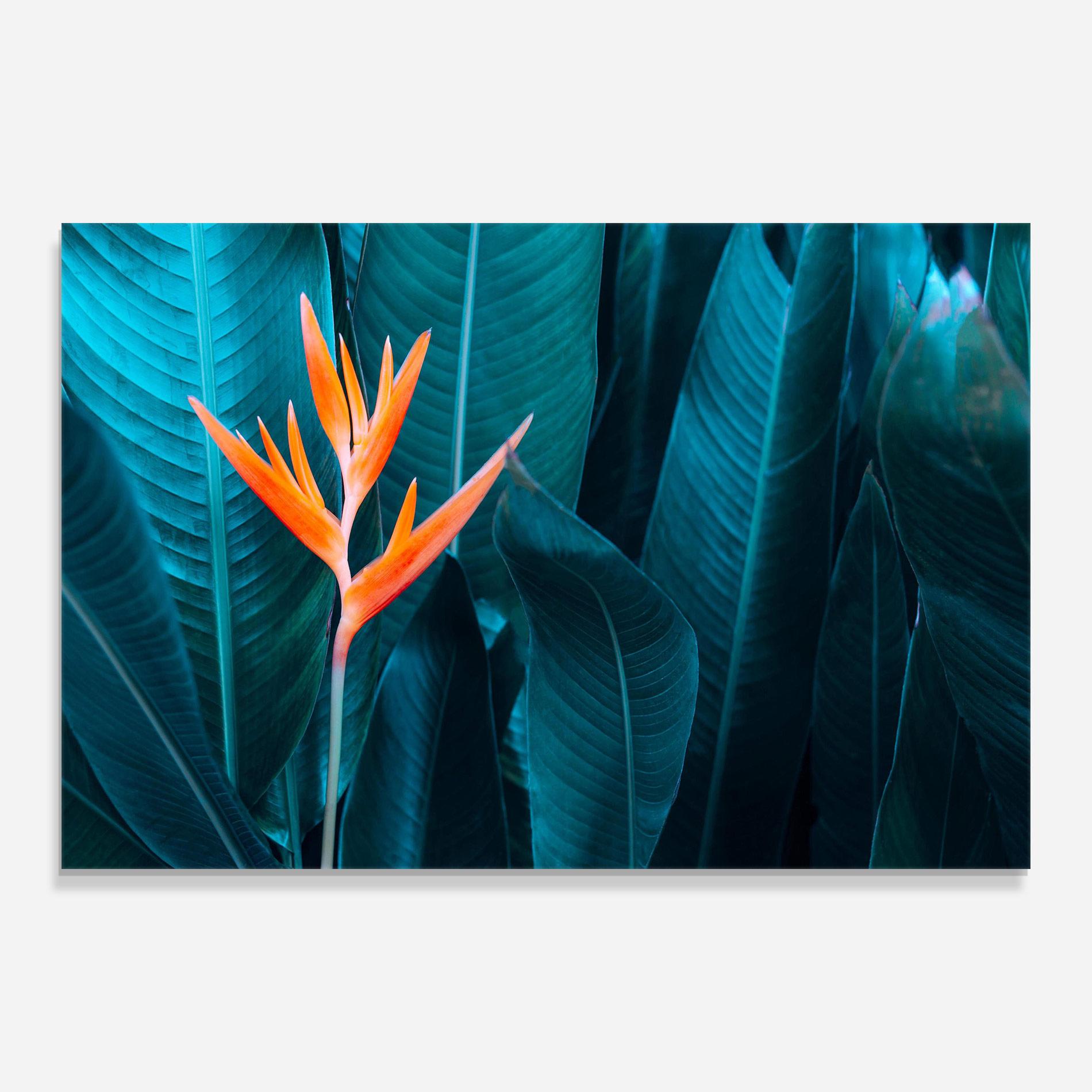 Tablou Sticla Orange Green Exotic mockup 0