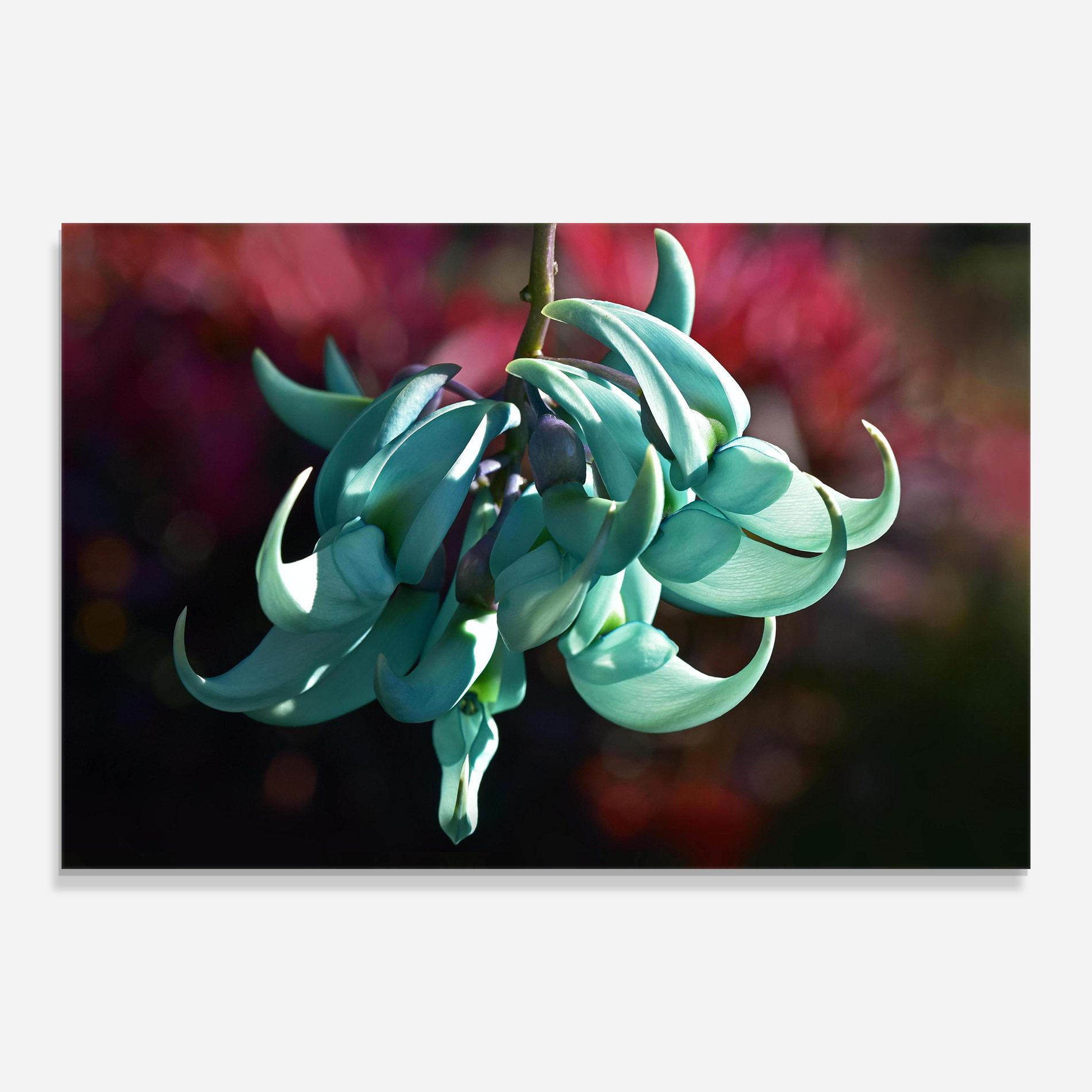 Tablou Sticla Pastel Green Plant mockup 0