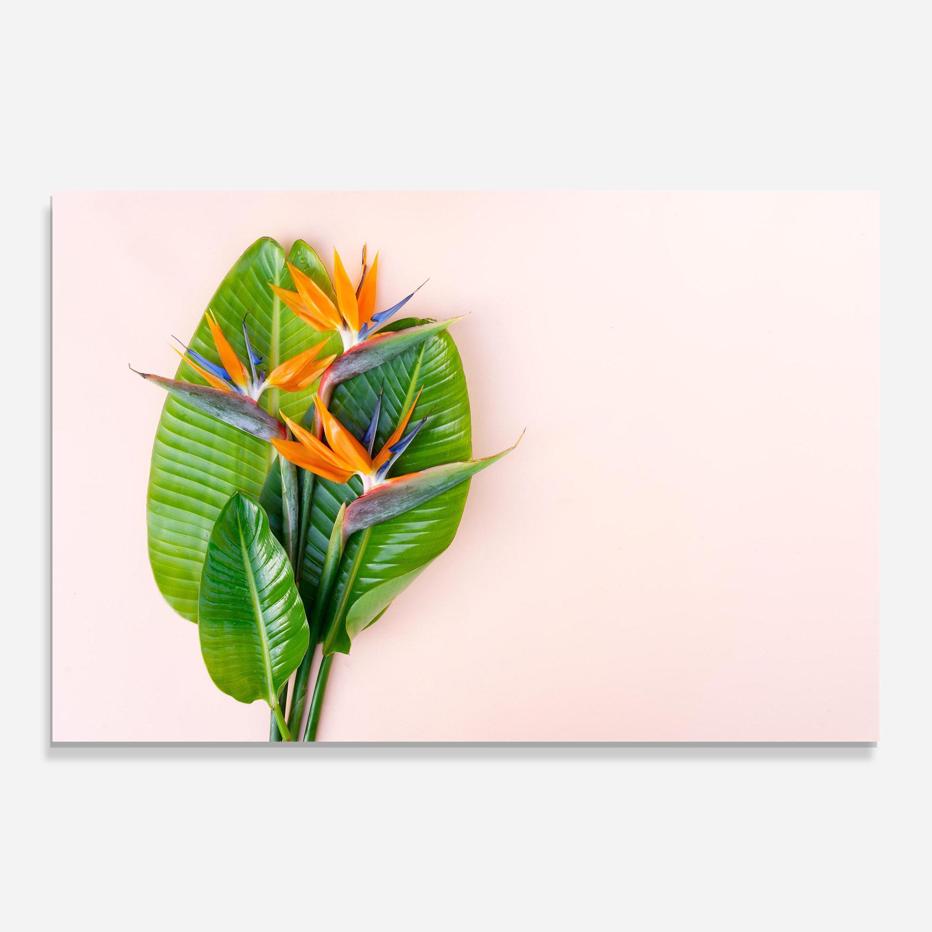 Tablou Sticla Tropical Exotic Leaf mockup 0