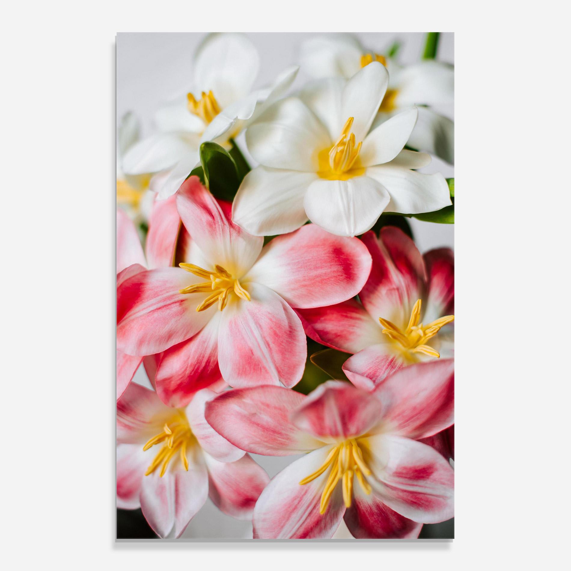 Tablou Sticla Beautiful Exotic Flower mockup 0