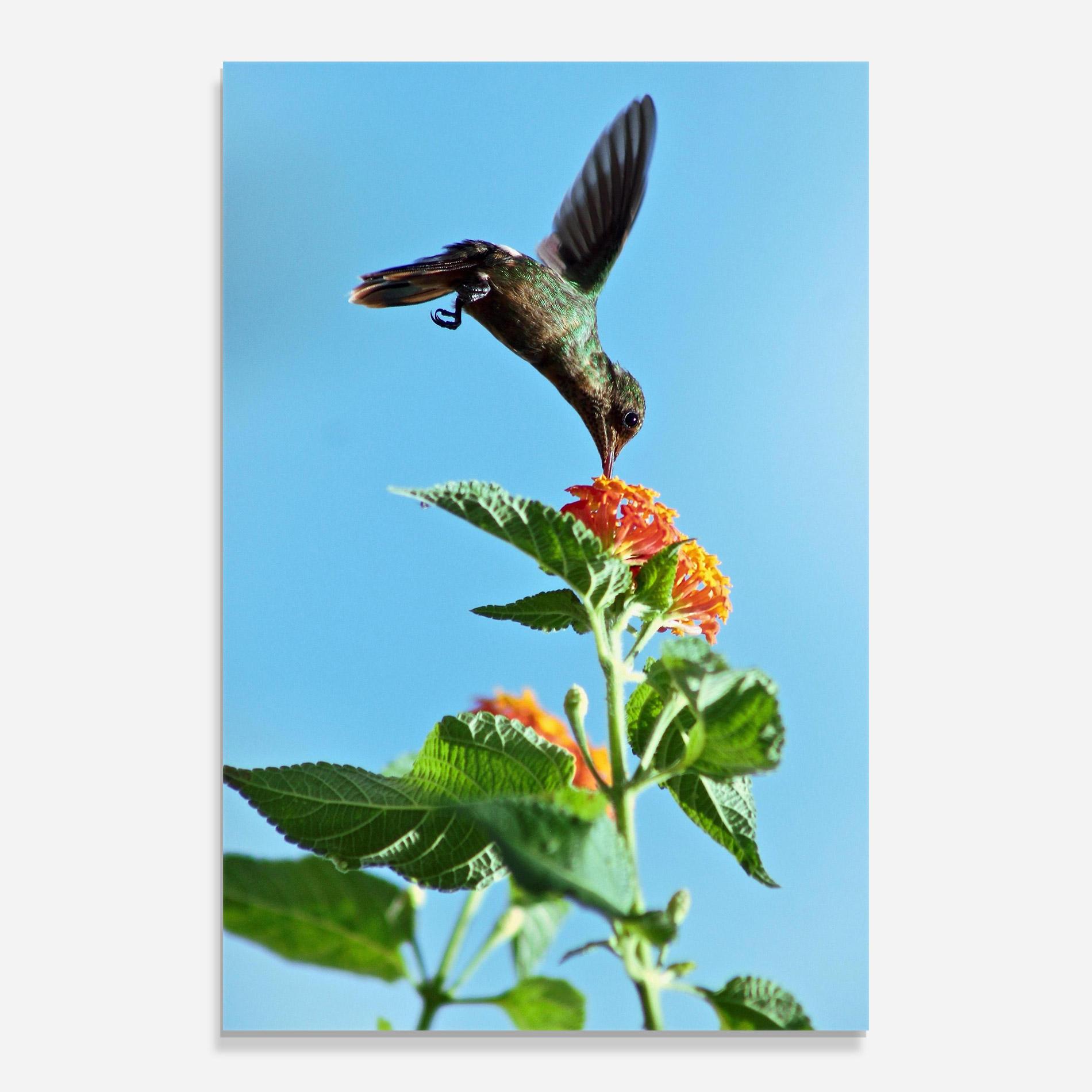 Tablou Sticla Bird Exotic Flower mockup 0