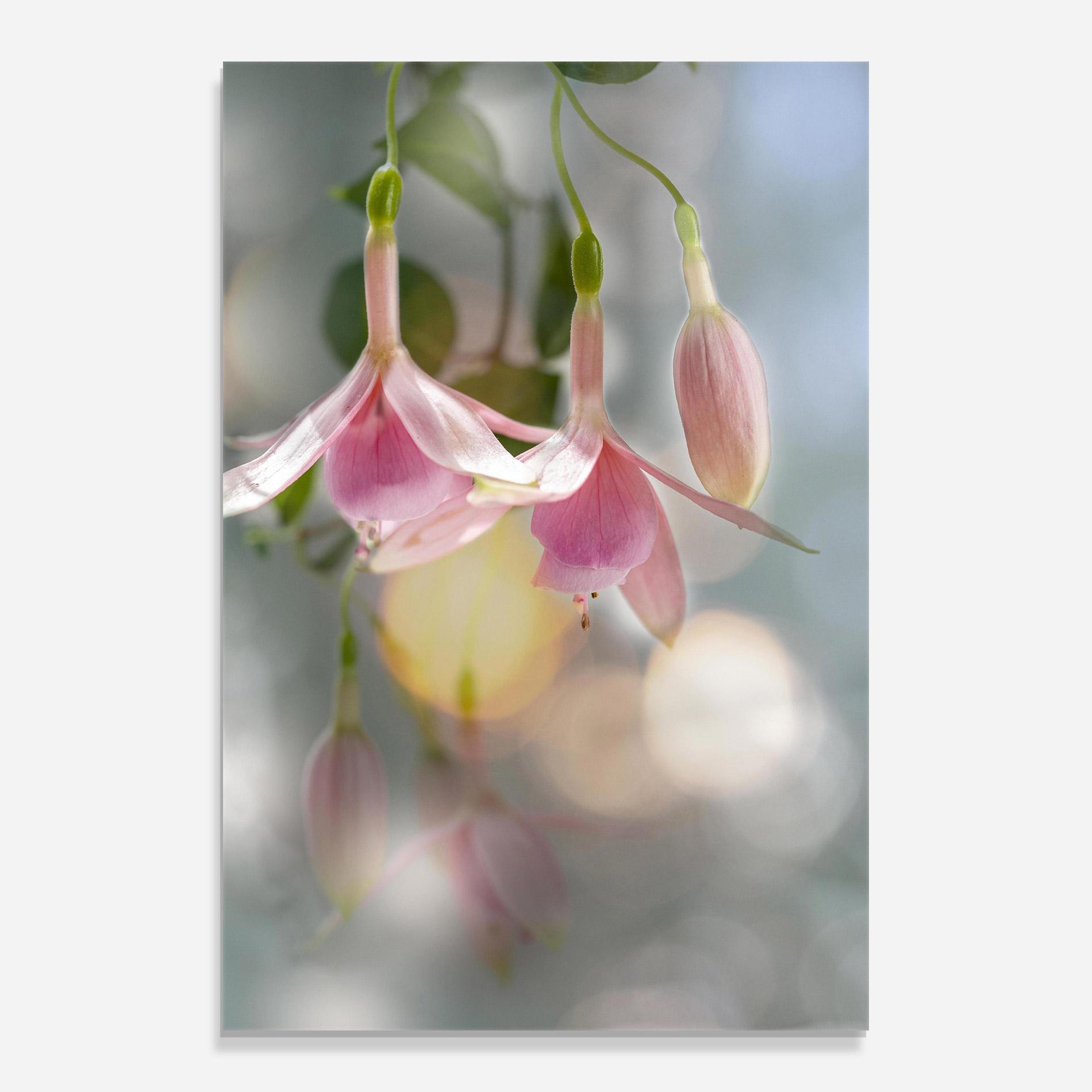 Tablou Sticla Dreamy Pink Exotic mockup 0