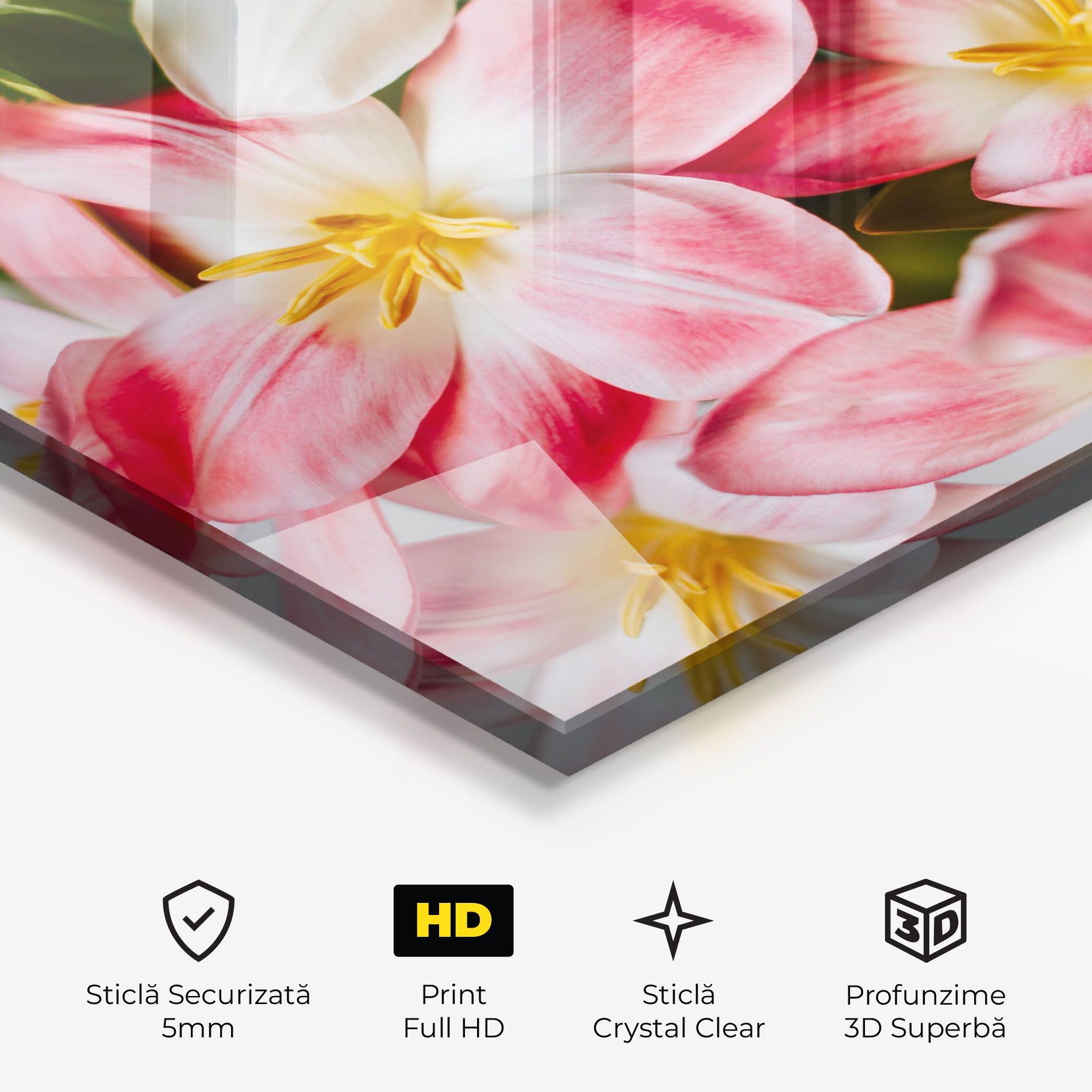 Beautiful Exotic Flower mockup 3