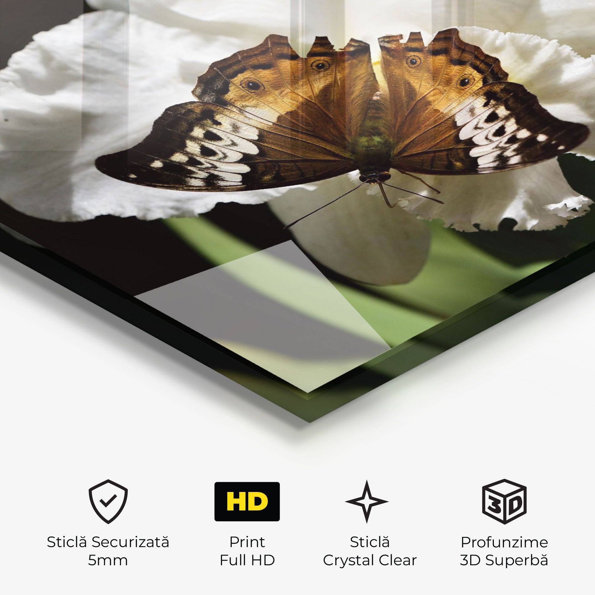 Butterfly Exotic Plant mockup 3