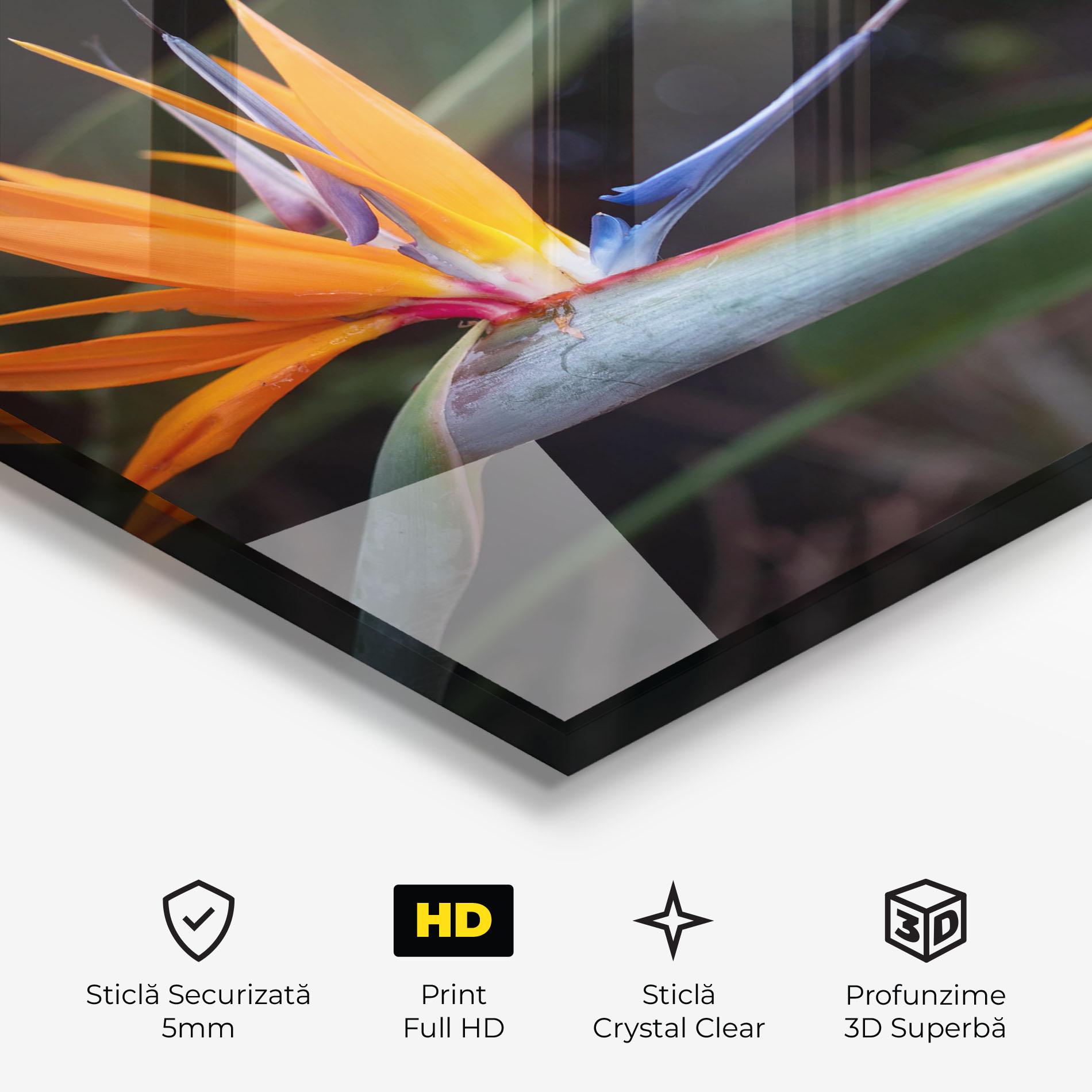 Tablou Sticla Paradise Plant mockup 3