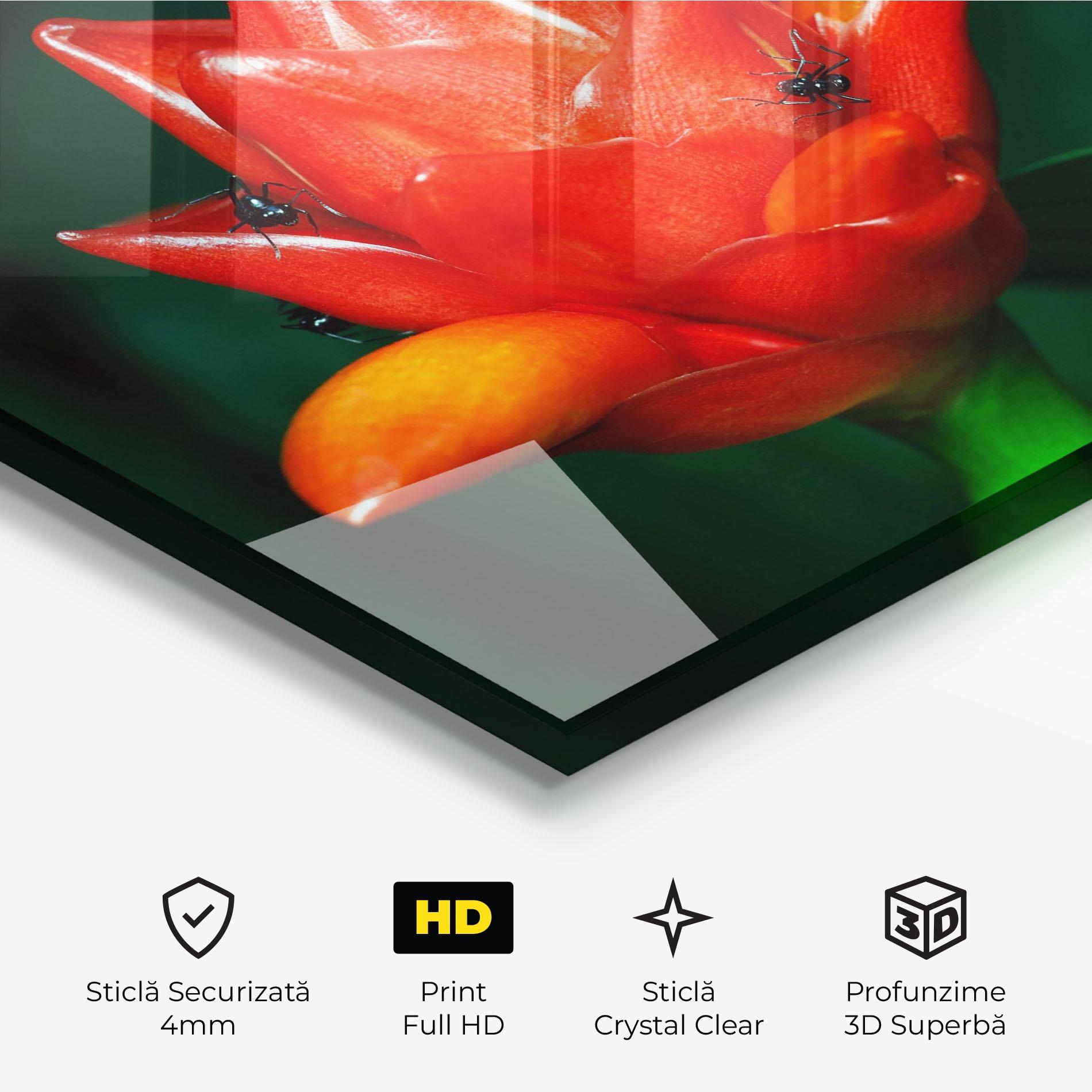 Tablou Sticla Cool Orange Exotic mockup 3