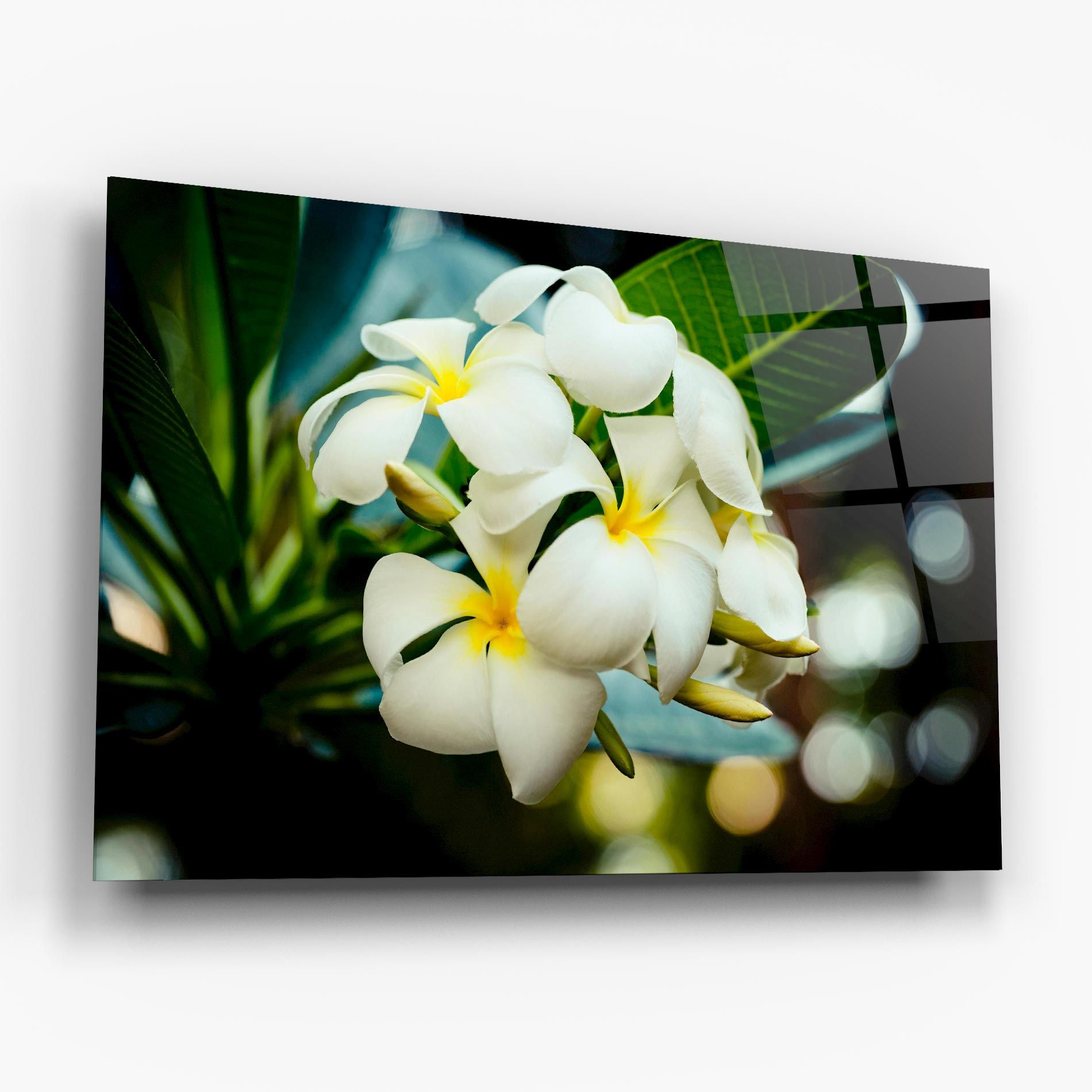 Beautiful White Exotic mockup 6