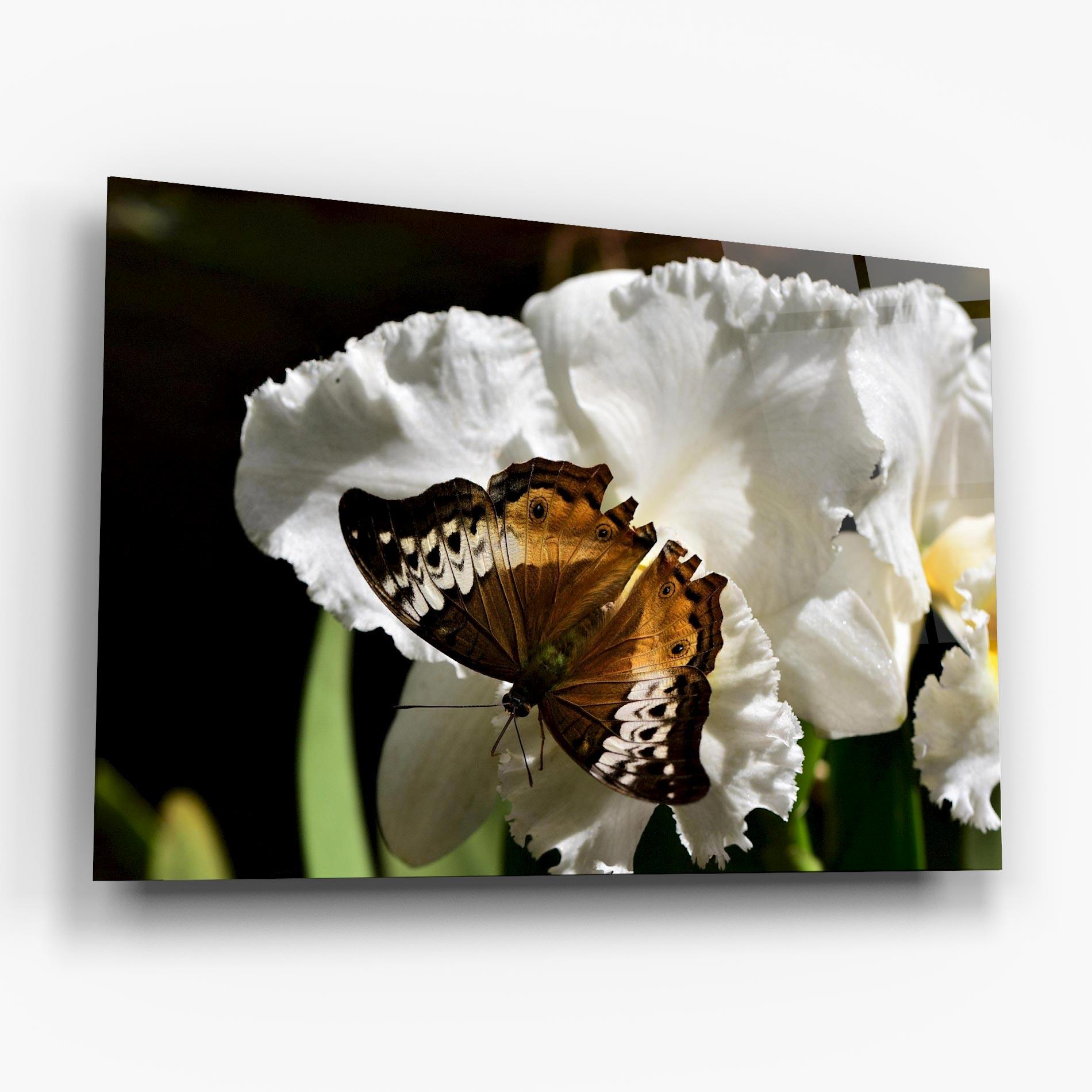 Tablou Sticla Butterfly Exotic Plant mockup 6
