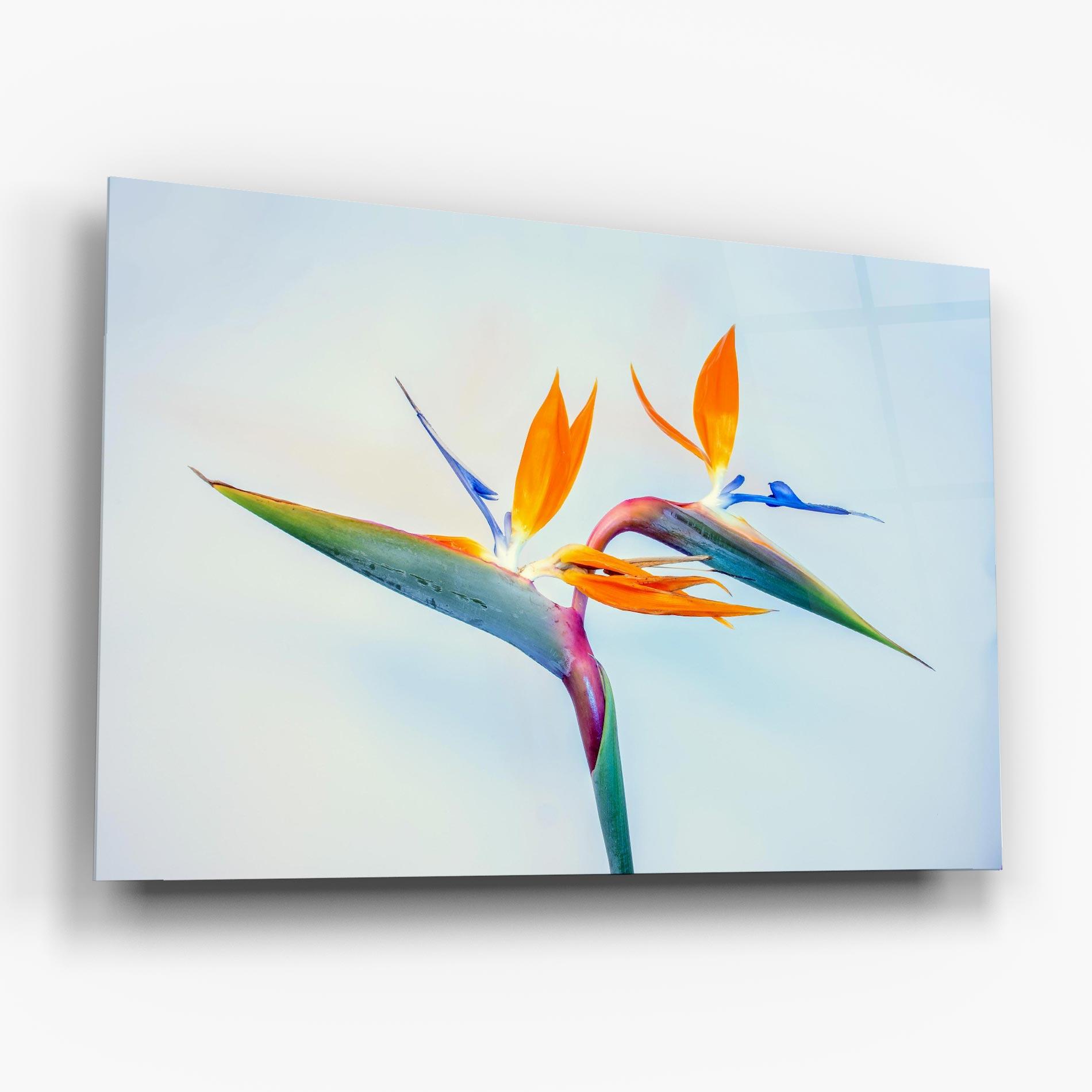 Tablou Sticla Green Orange Exotic mockup 6