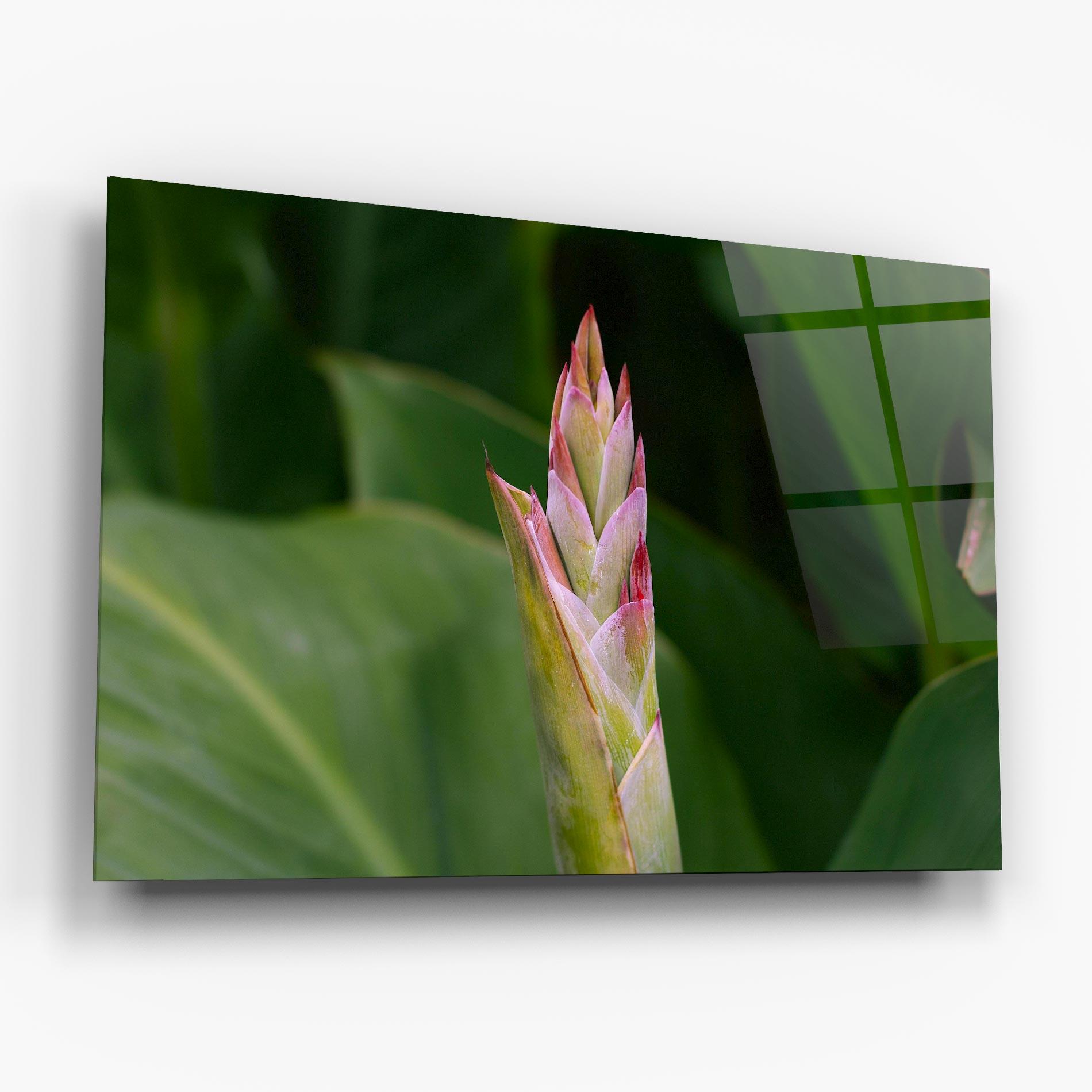 Tablou Sticla Light Pink Exotic mockup 6