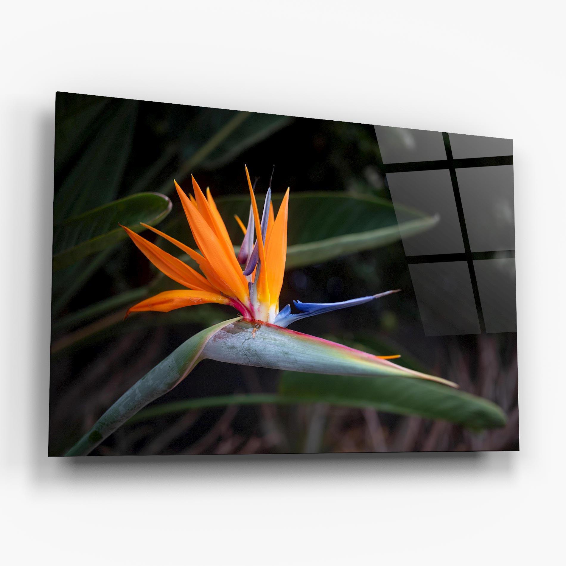 Tablou Sticla Paradise Plant mockup 6