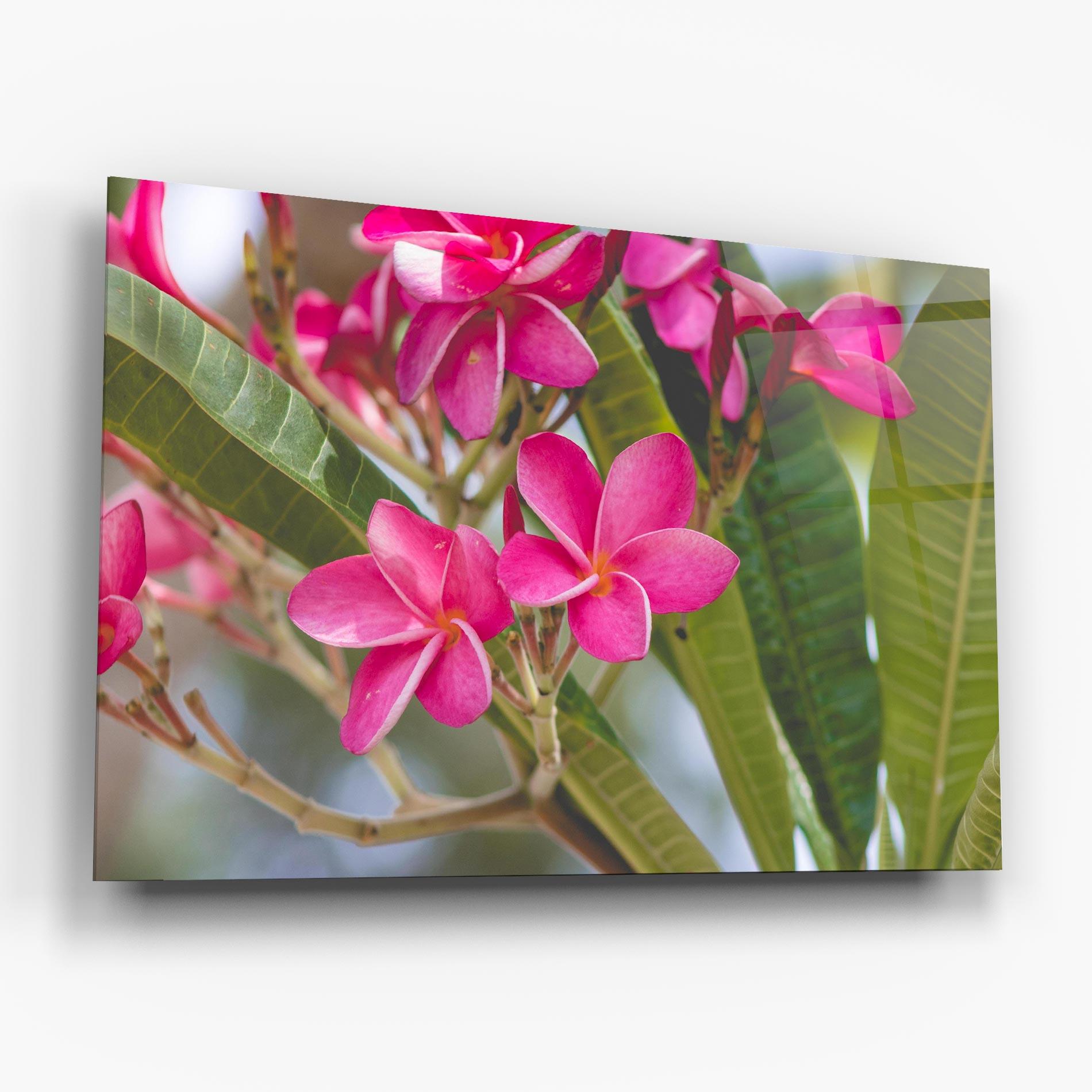 Tablou Sticla Pink Exotic Flowers mockup 6