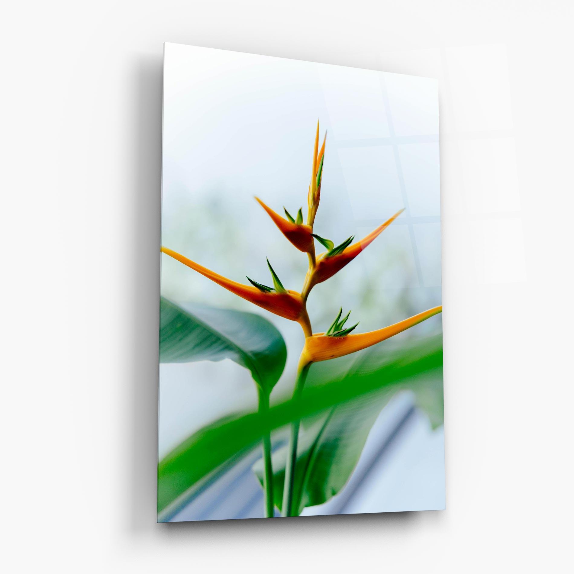 Tablou Sticla Exotic Orange Green mockup 6