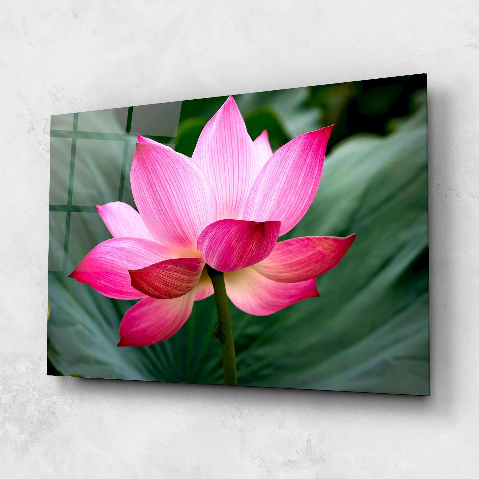 Tablou Sticla Beautiful Pink Exotic mockup 1
