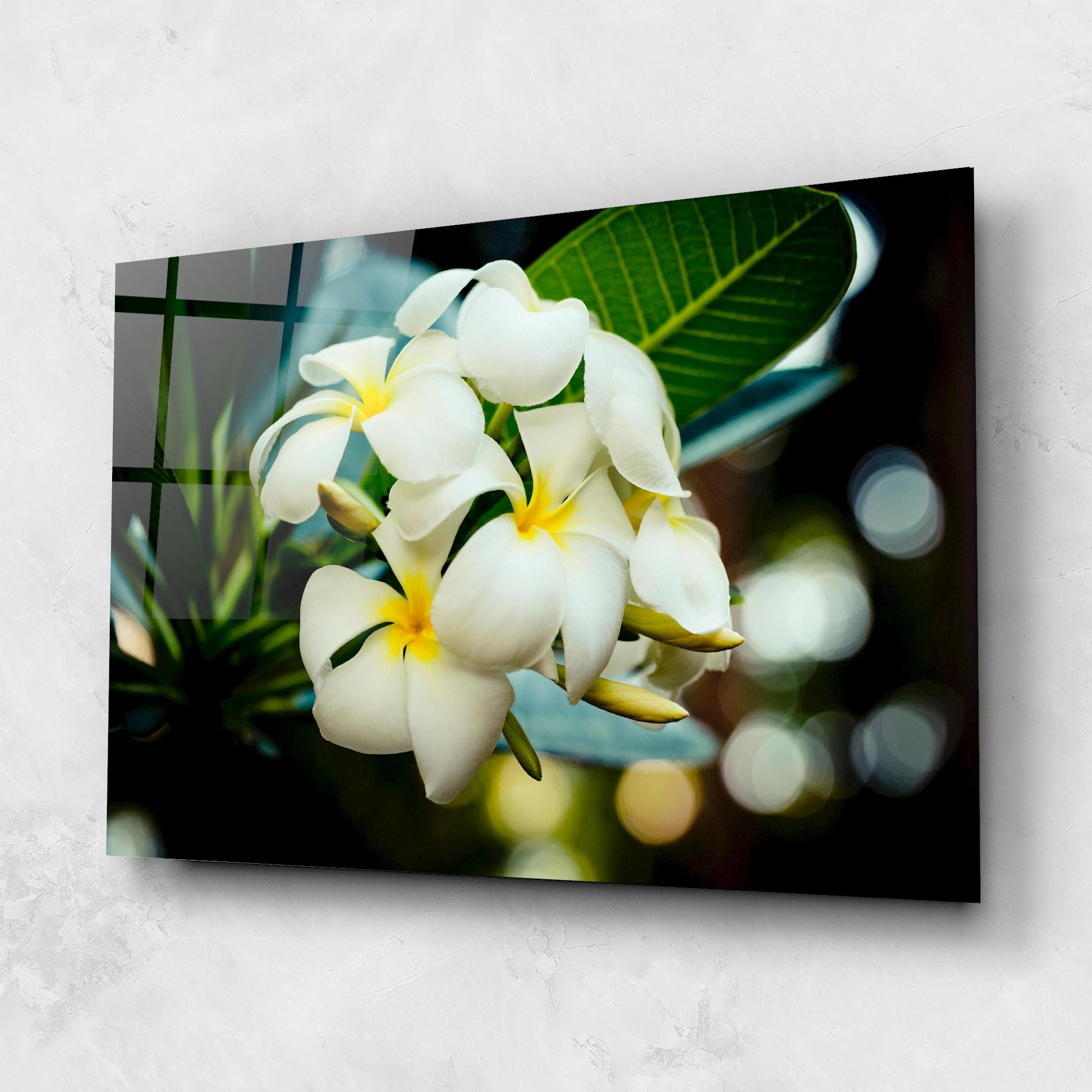 Beautiful White Exotic mockup 1