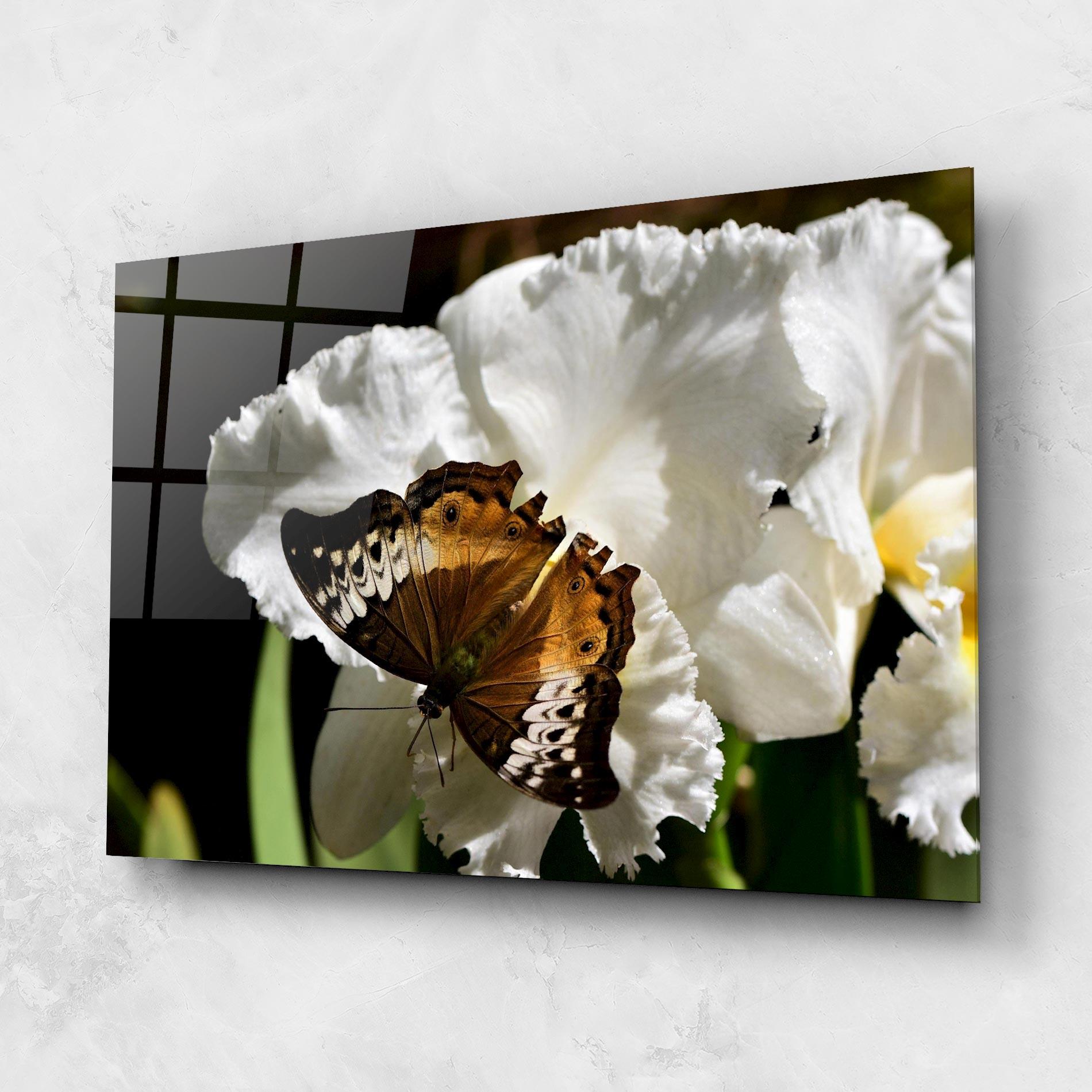 Tablou Sticla Butterfly Exotic Plant mockup 1