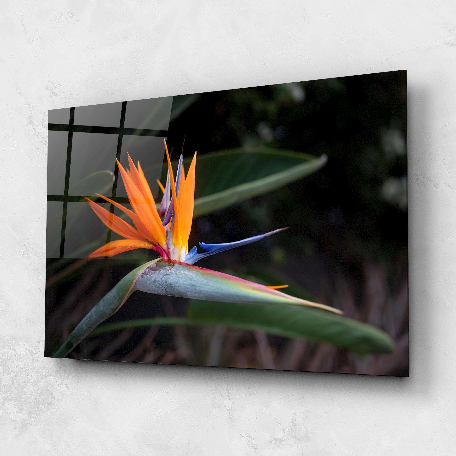 Tablou Sticla Paradise Plant mockup 1