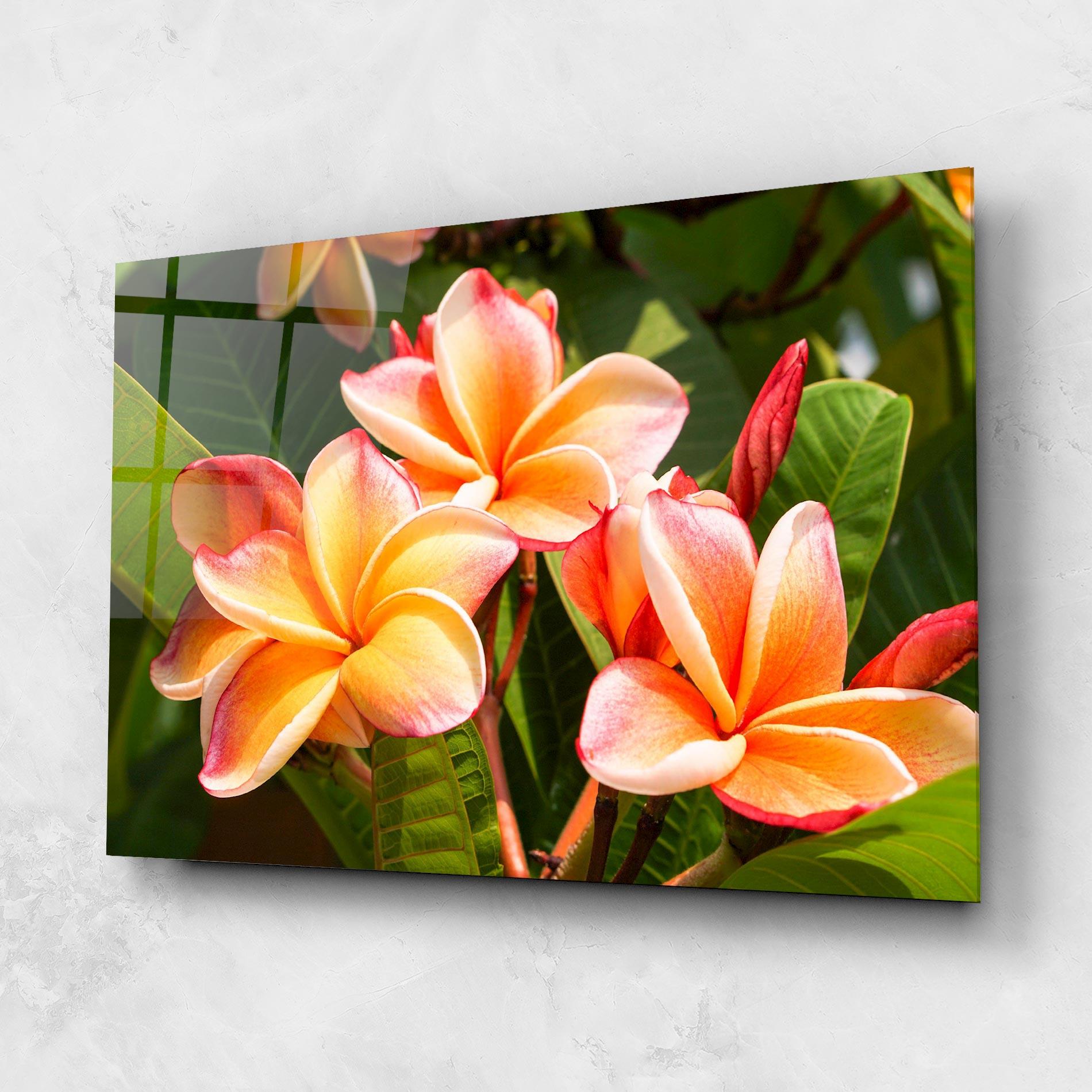 Tablou Sticla Pretty Plumeria mockup 1
