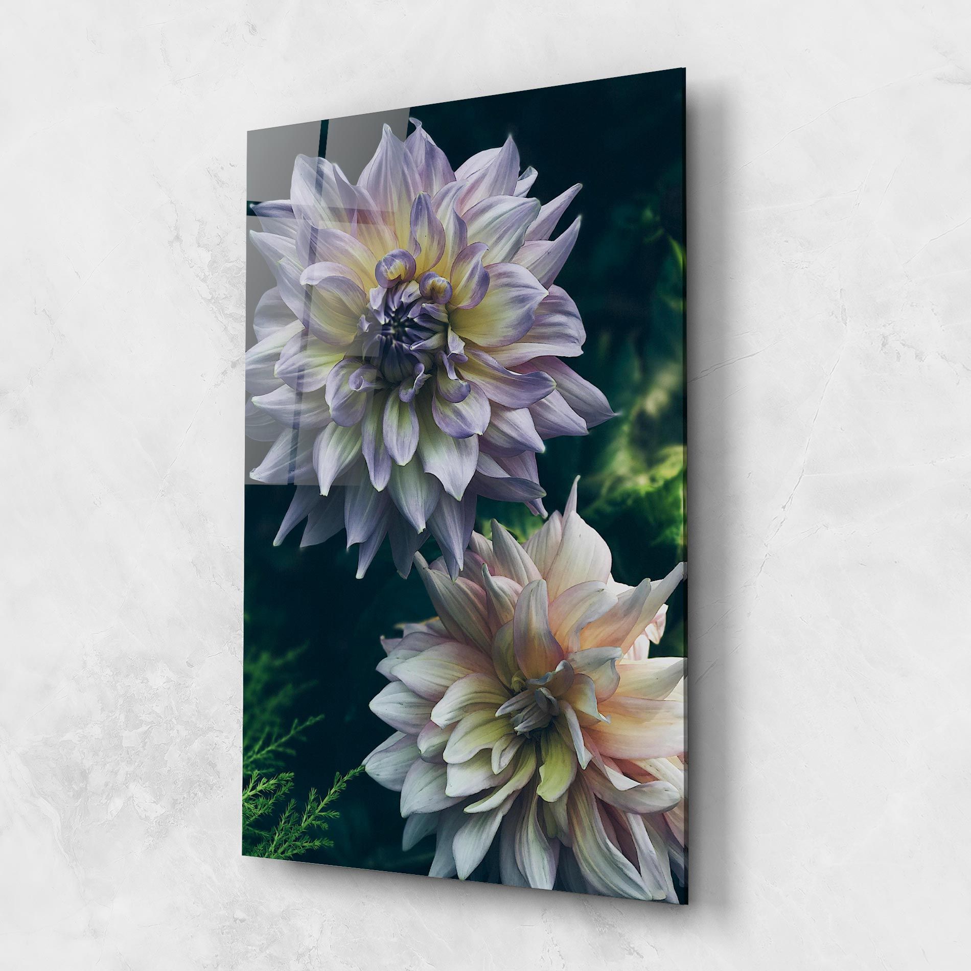 Dahlia Flowers mockup 1