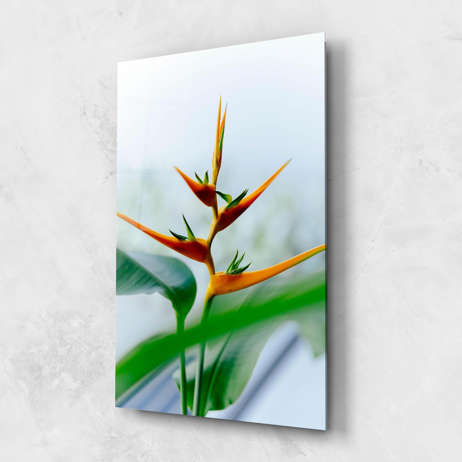 Tablou Sticla Exotic Orange Green mockup 1