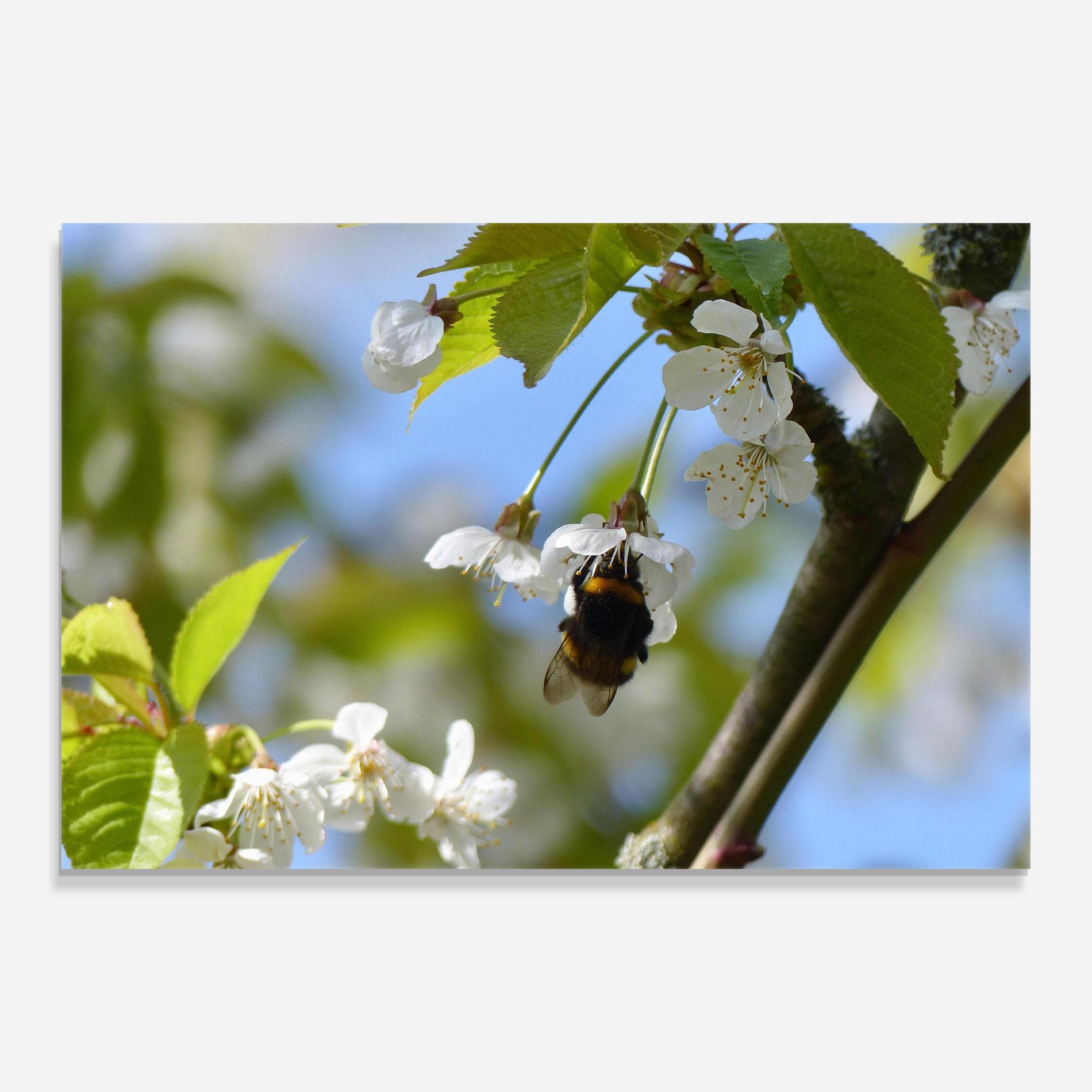 Tablou Sticla Bee Wild Tree mockup 0