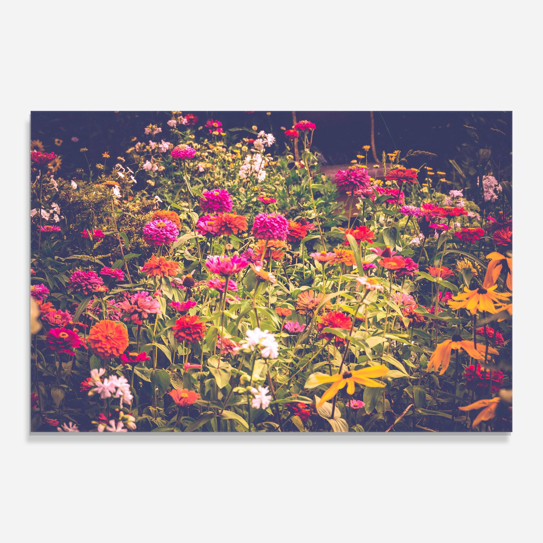 Tablou Sticla Colorful Wild Field mockup 0