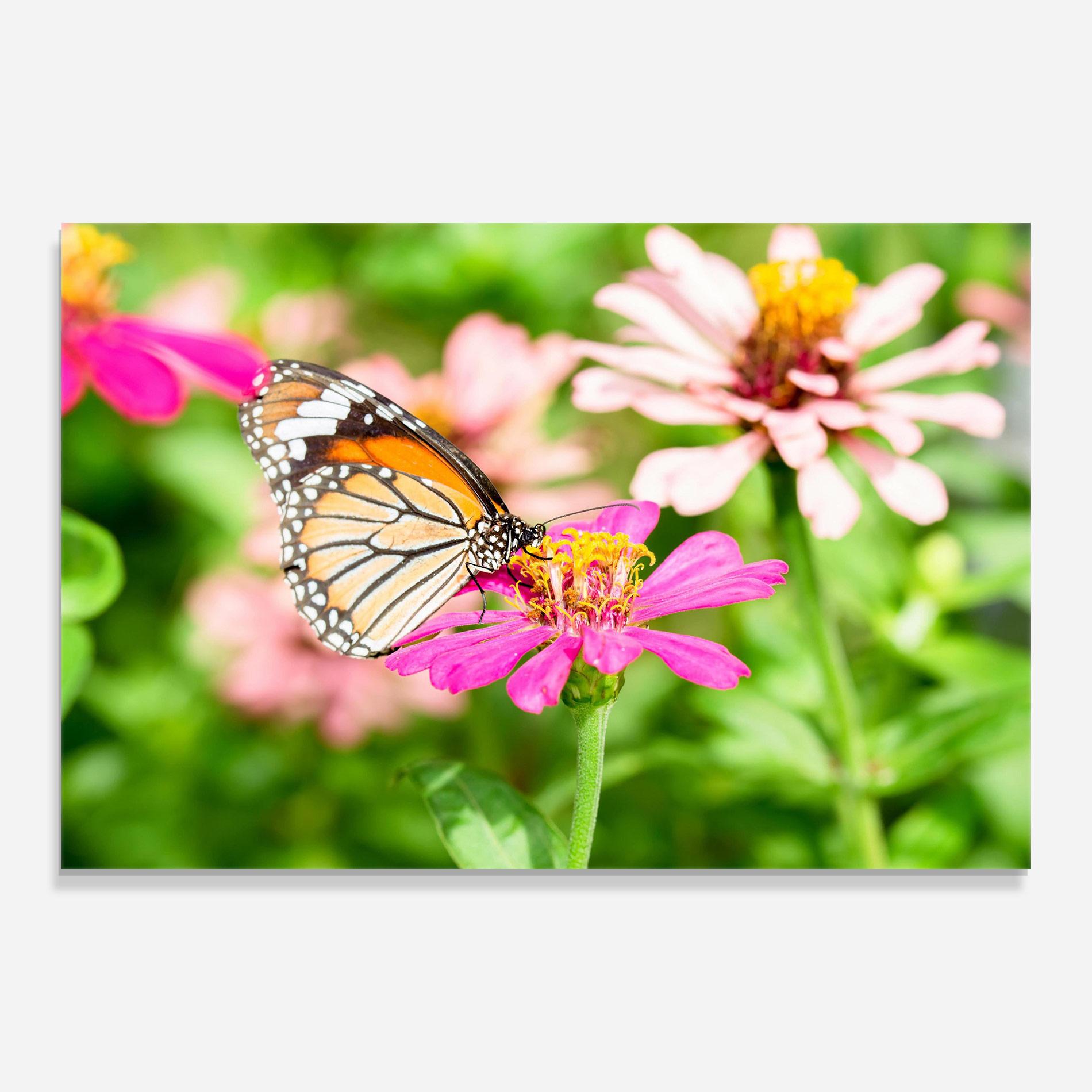 Tablou Sticla Daylight Butterfly mockup 0