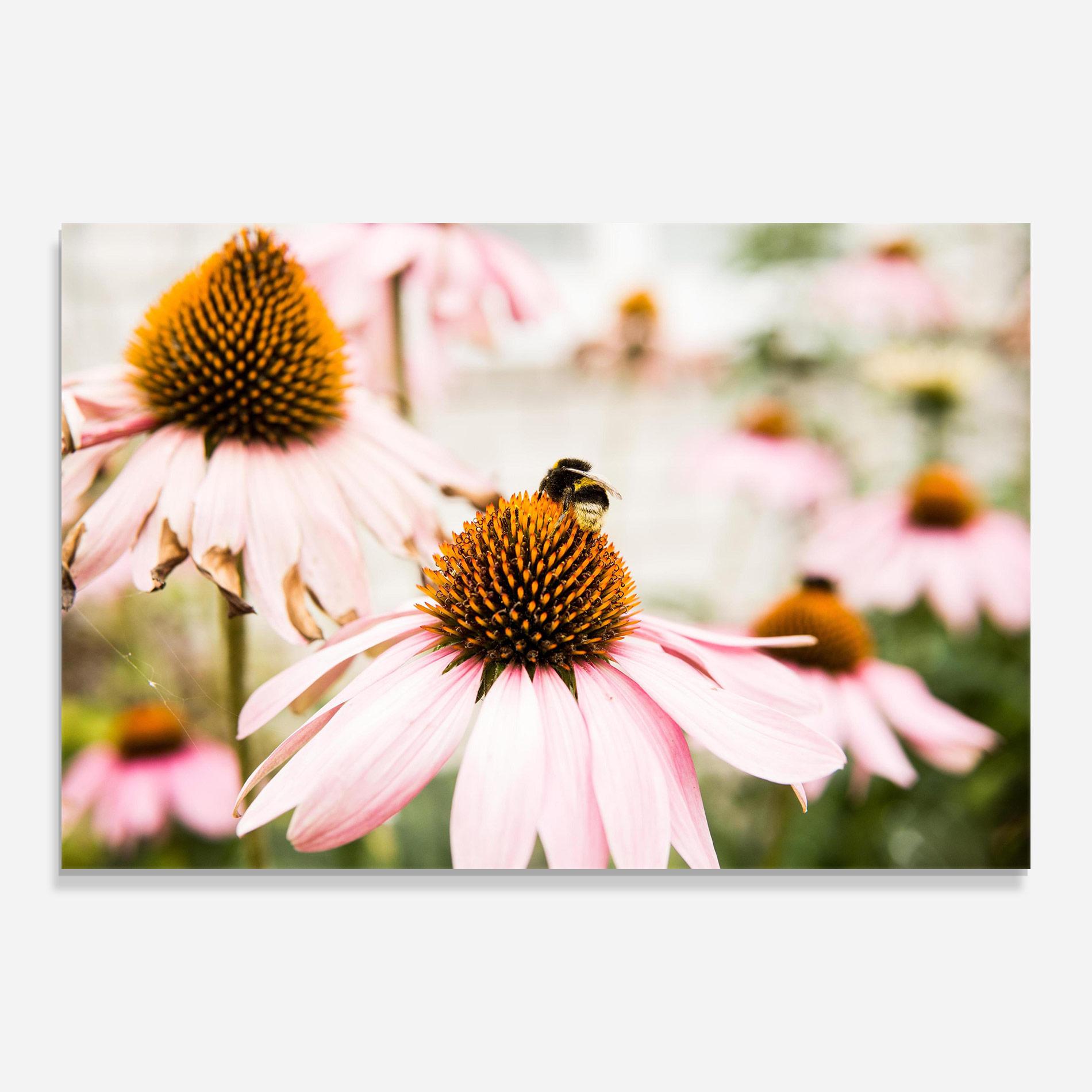 Tablou Sticla Daylight Flower mockup 0