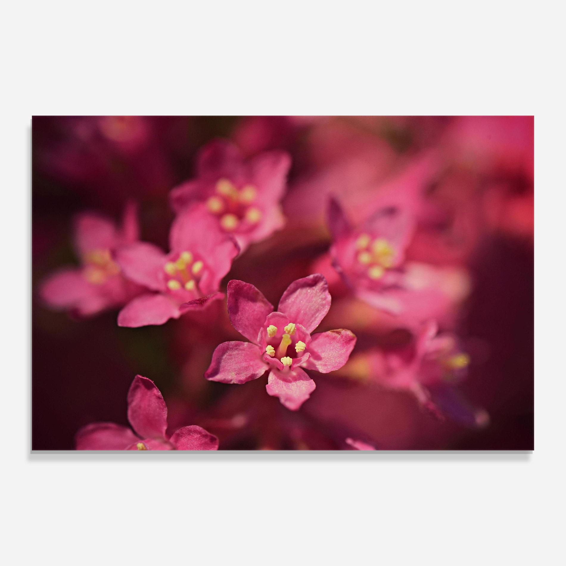 Tablou Sticla Flower Background mockup 0