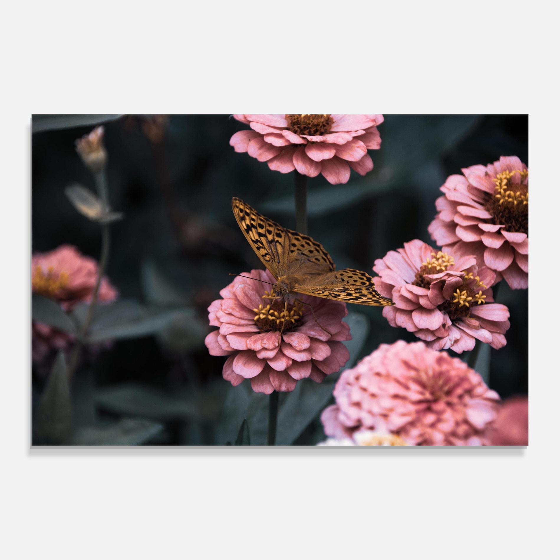 Tablou Sticla Flower Butterfly mockup 0