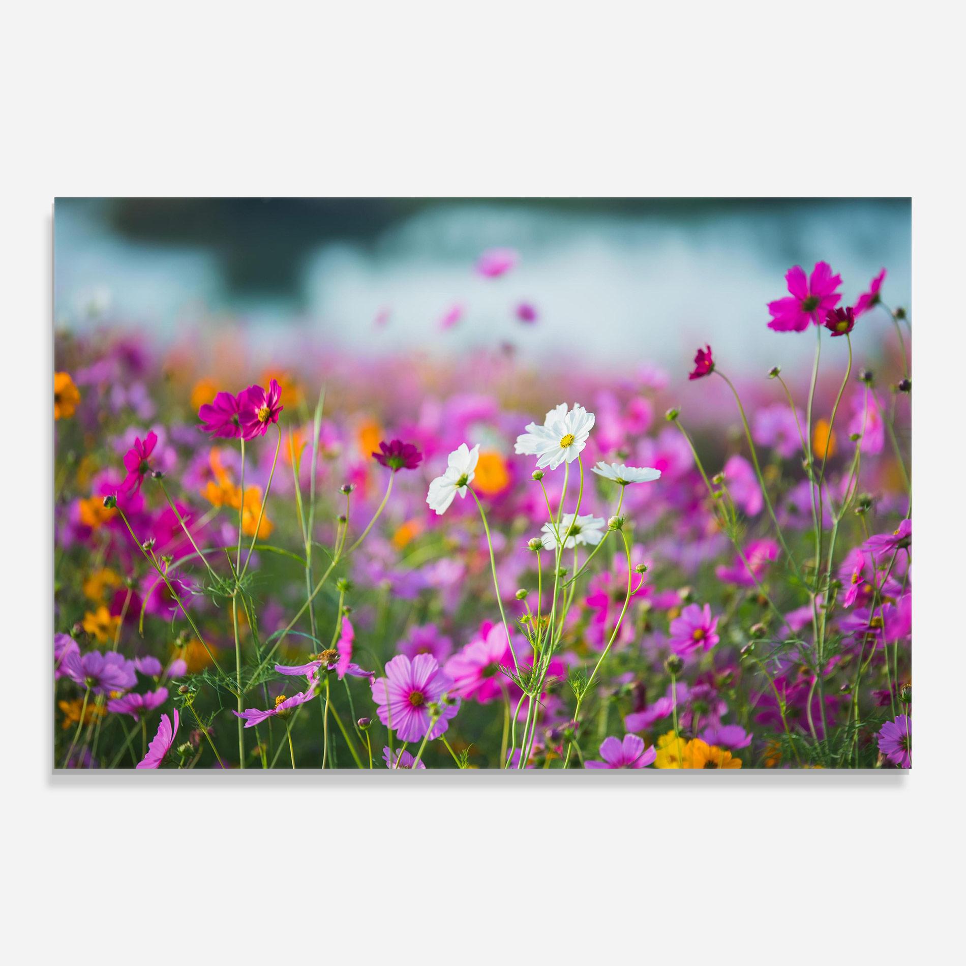 Tablou Sticla Flower Grassland mockup 0