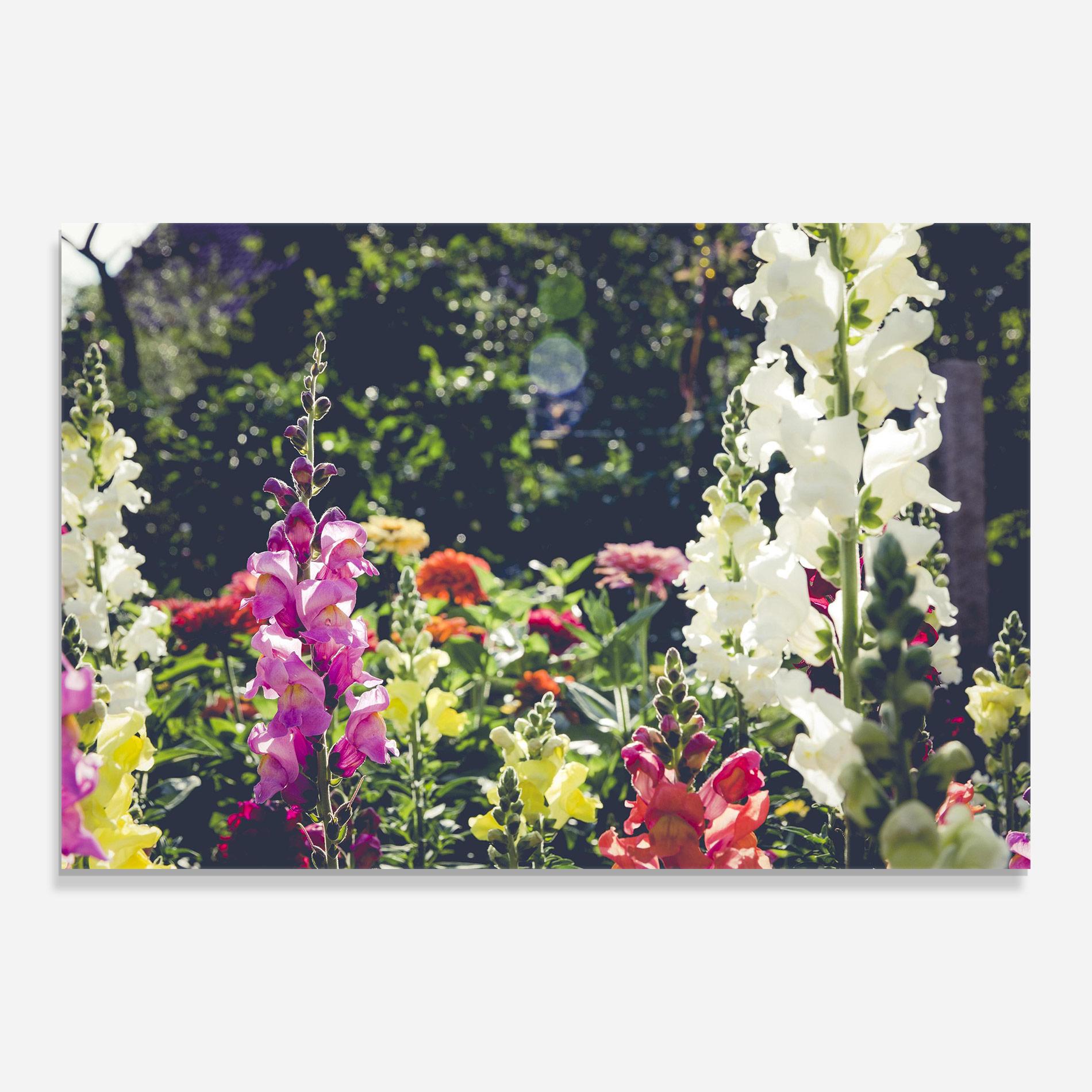 Tablou Sticla Garden Pretty Flowers mockup 0