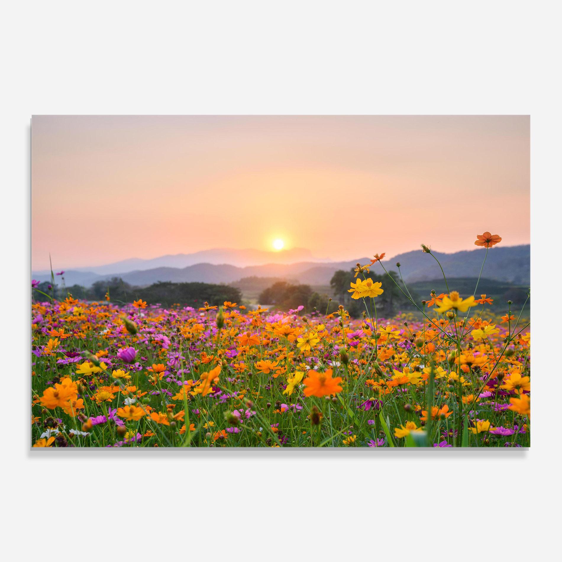 Tablou Sticla Sunset Mountain Flowerf mockup 0