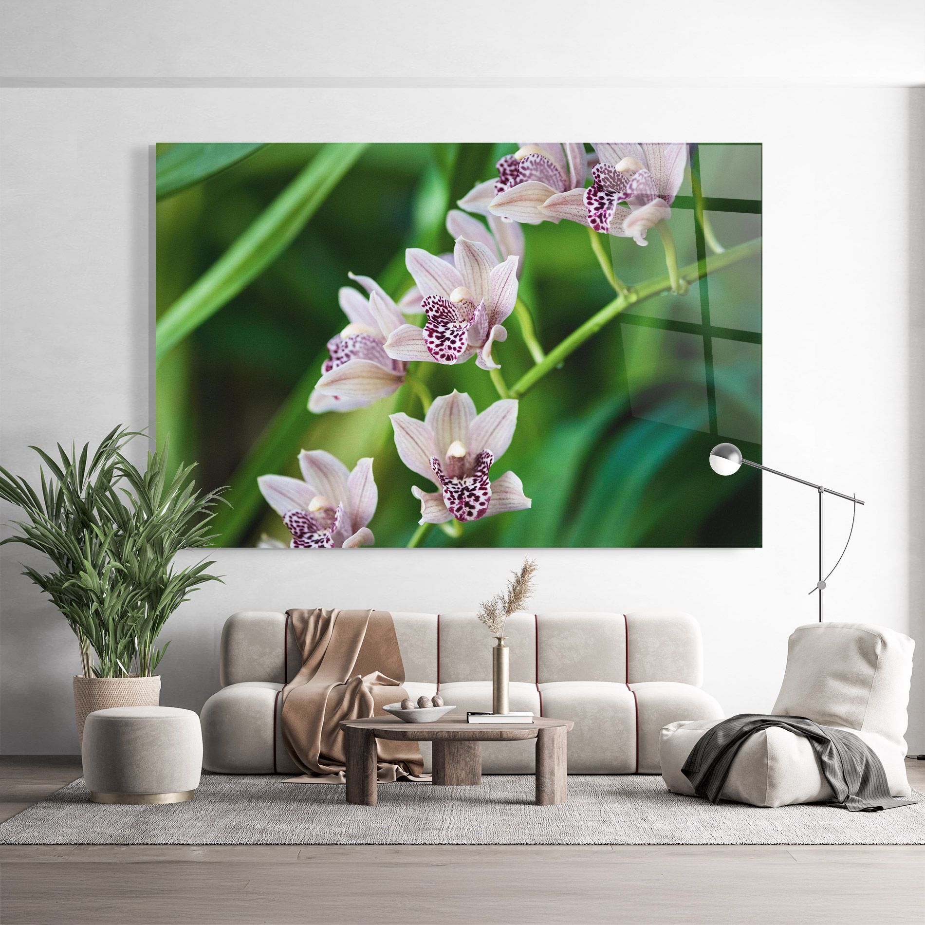 Cymbidium Orchid mockup 9