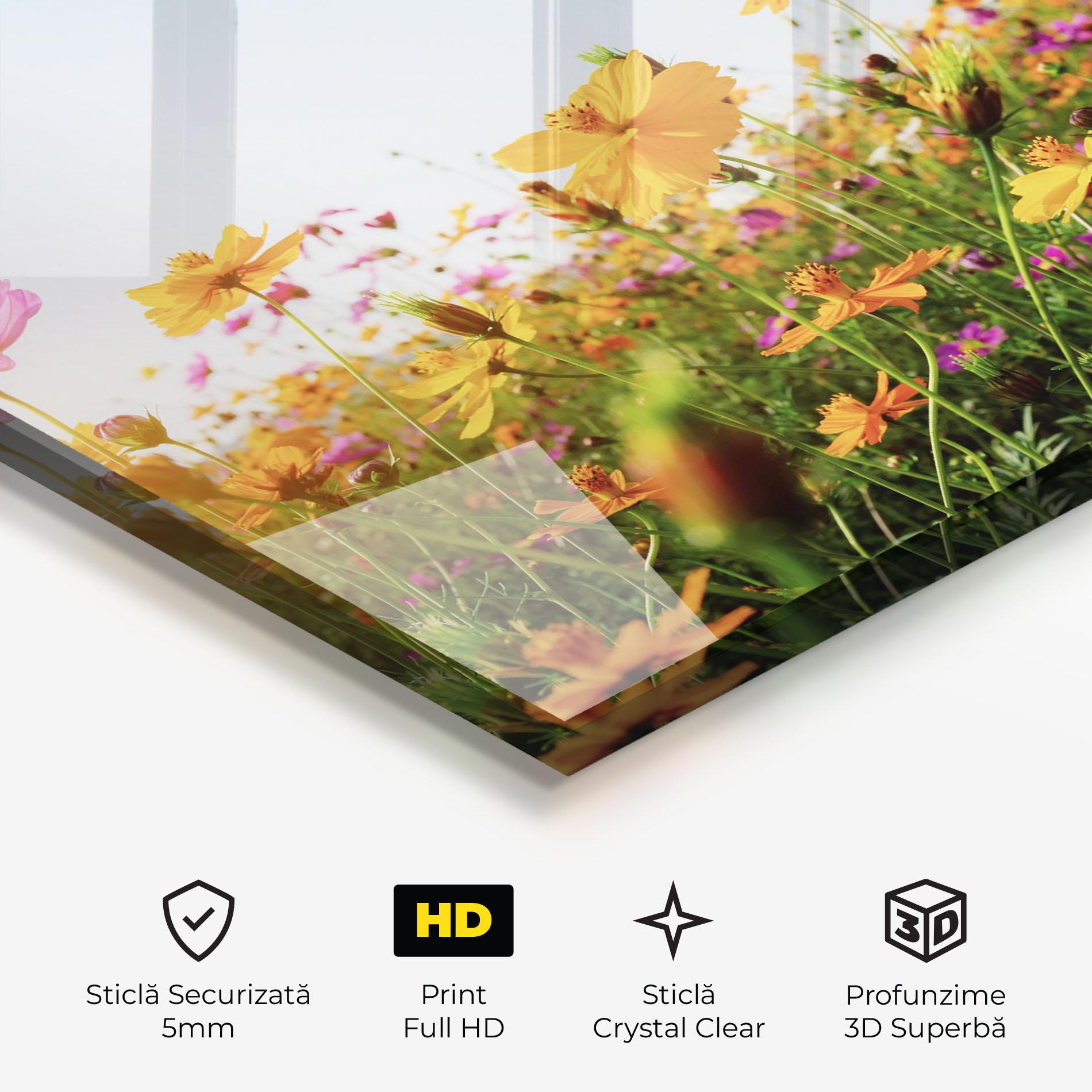 Tablou Sticla Cosmos Field Sunset mockup 3