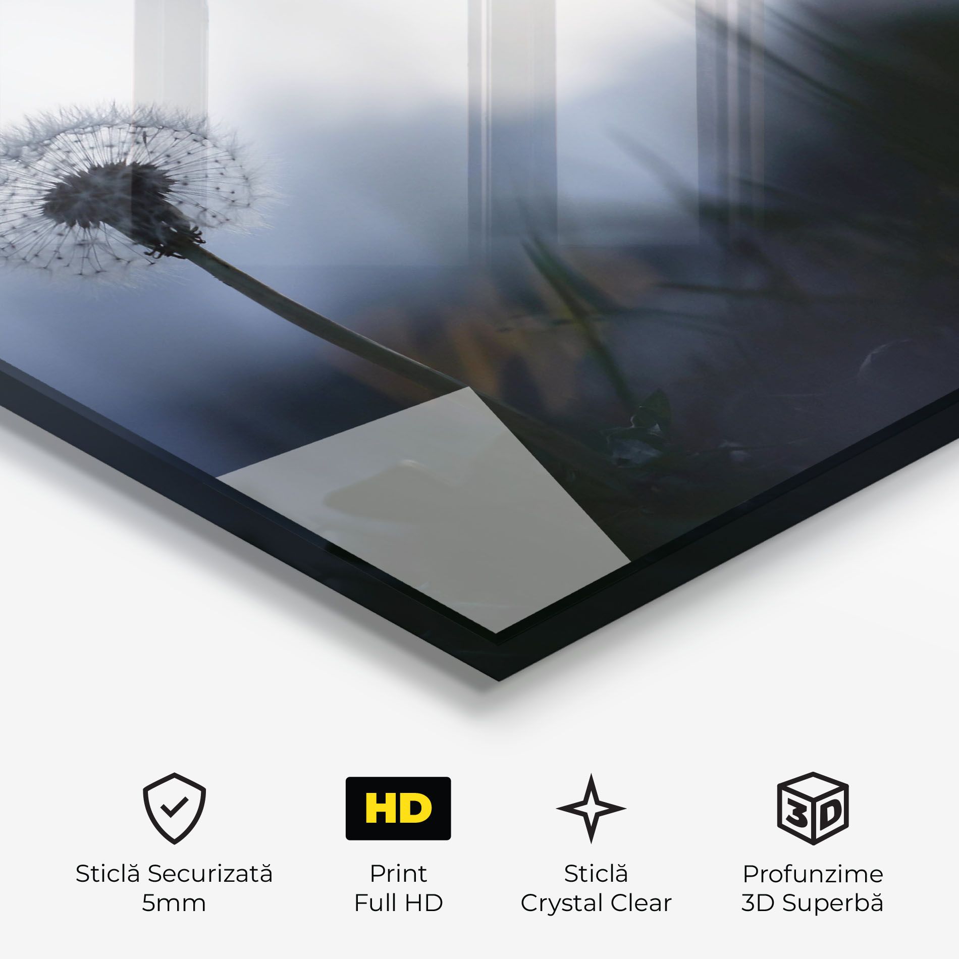 Dandelion Wild View mockup 3