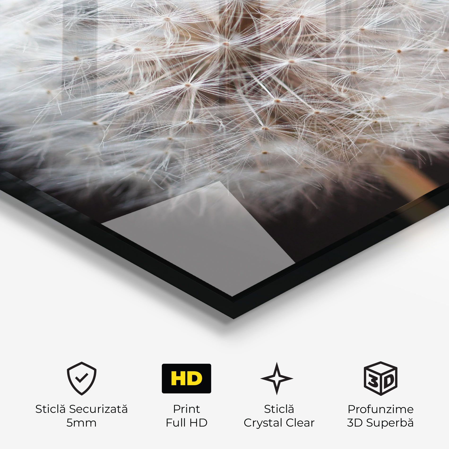 Wild Dandelion Closeup mockup 3