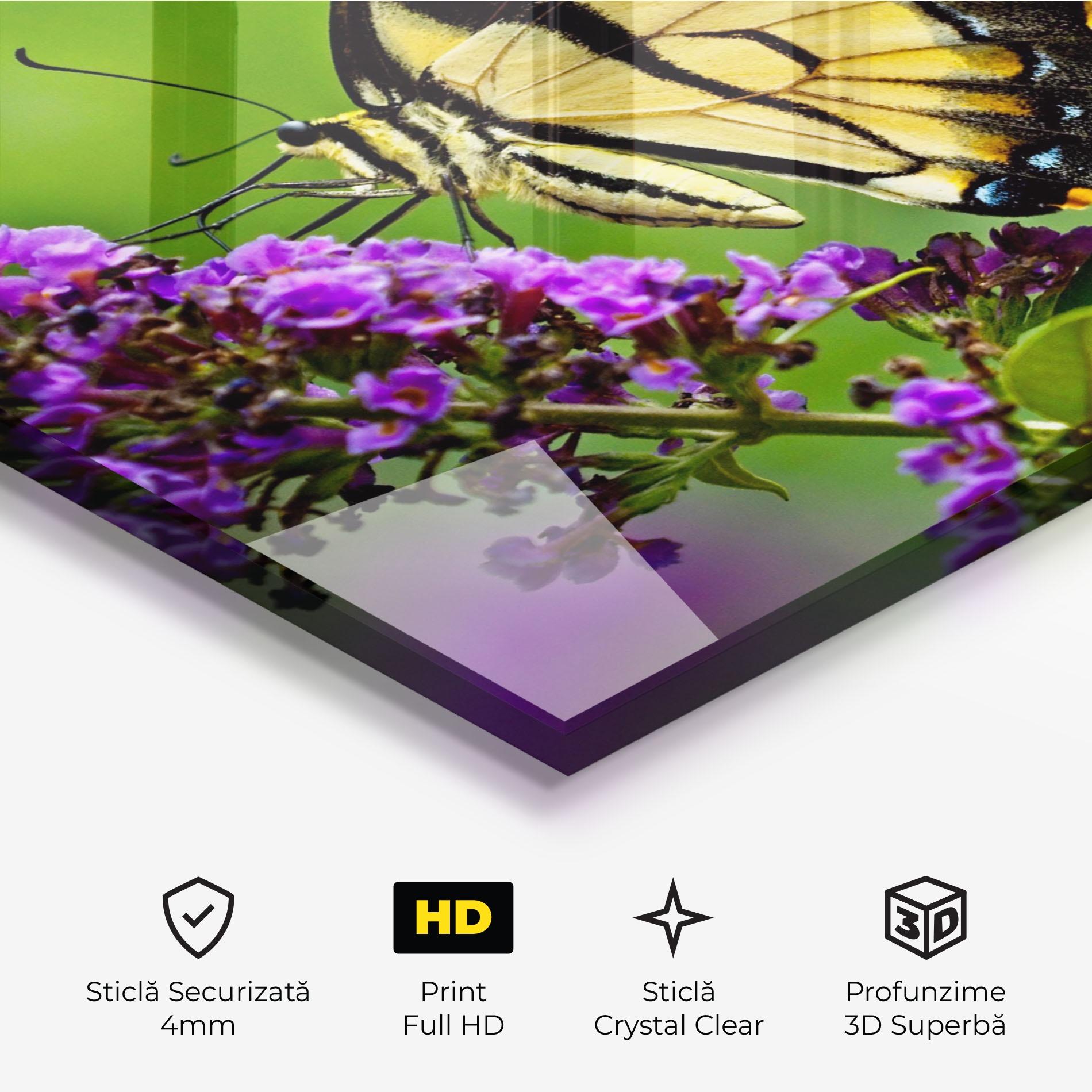 Tablou Sticla Cream Wild Butterfly mockup 3