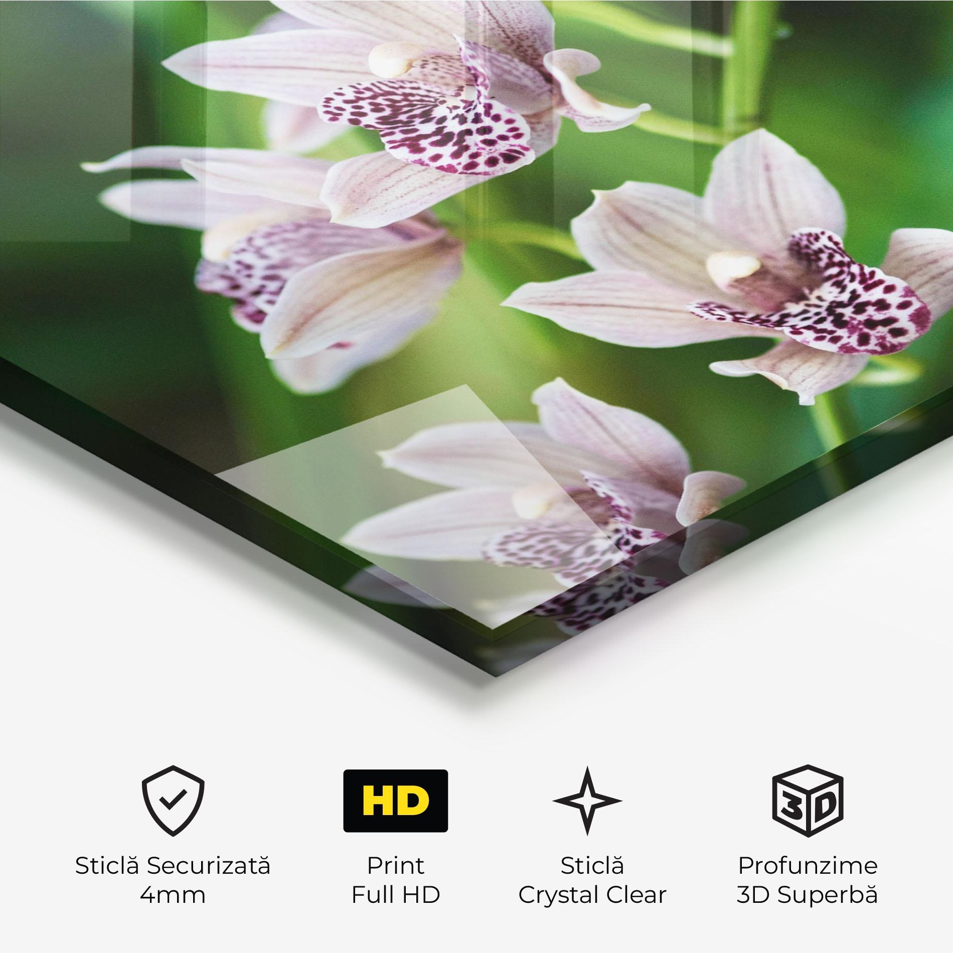 Tablou Sticla Cymbidium Orchid mockup 3