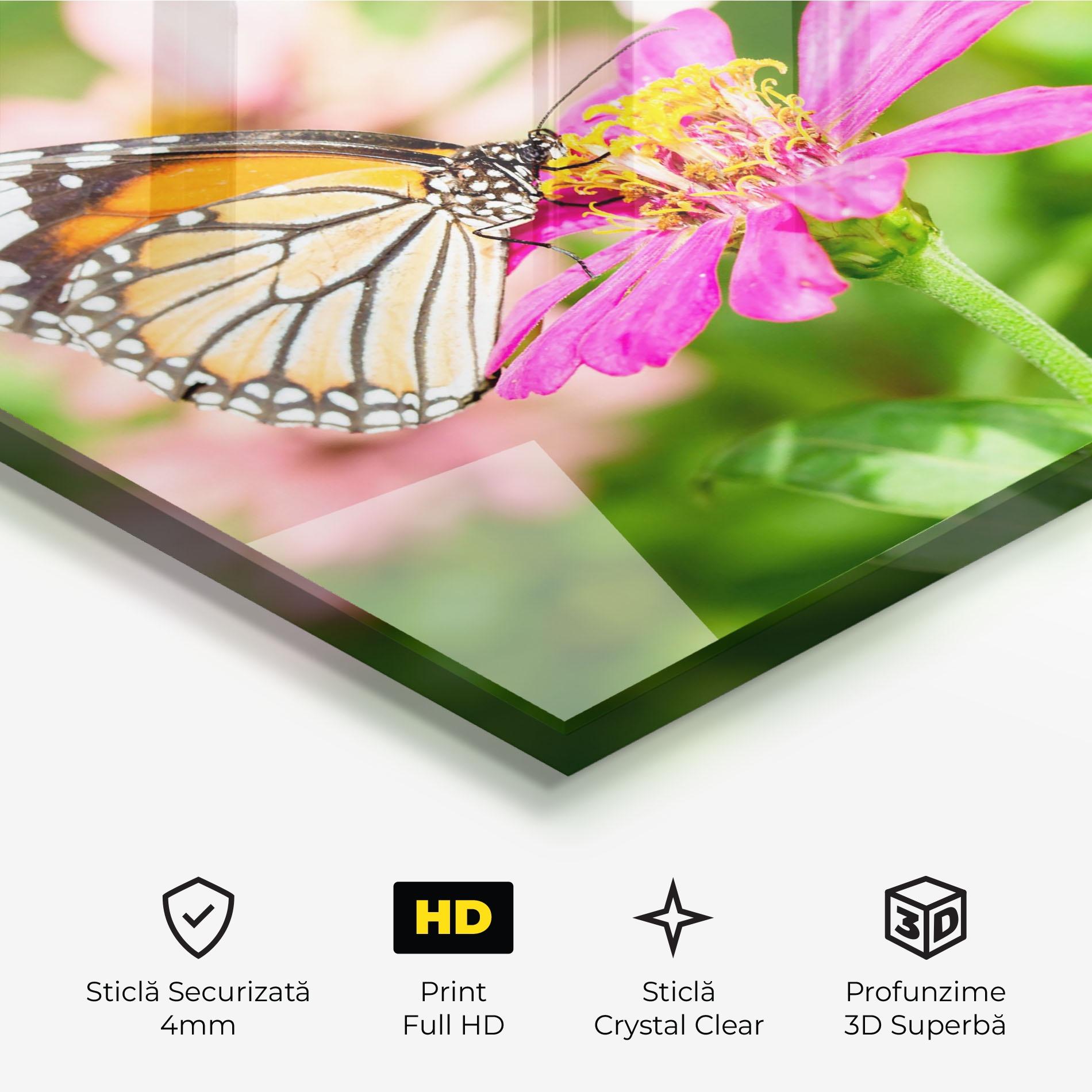 Tablou Sticla Daylight Butterfly mockup 3