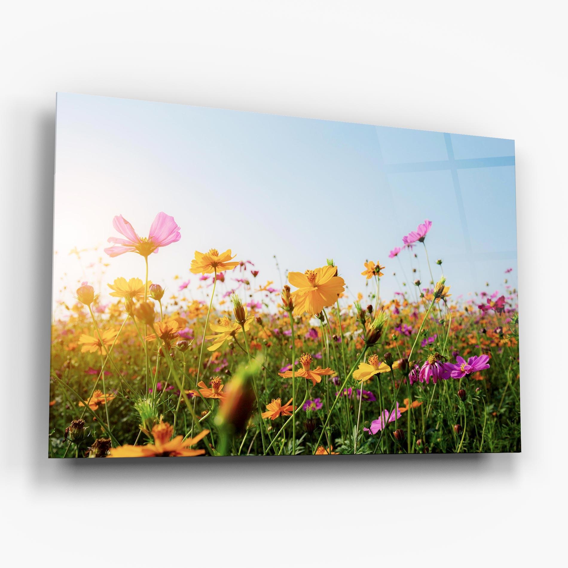 Tablou Sticla Cosmos Field Sunset mockup 6