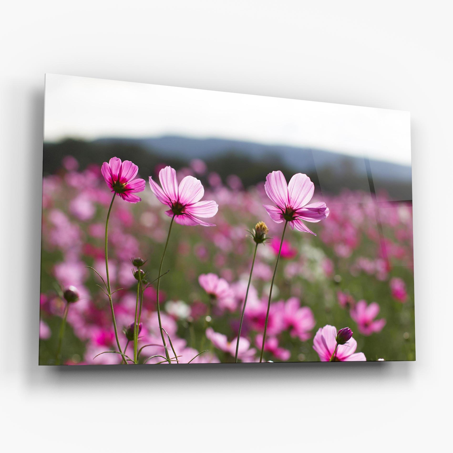 Tablou Sticla Cosmos Flower mockup 6