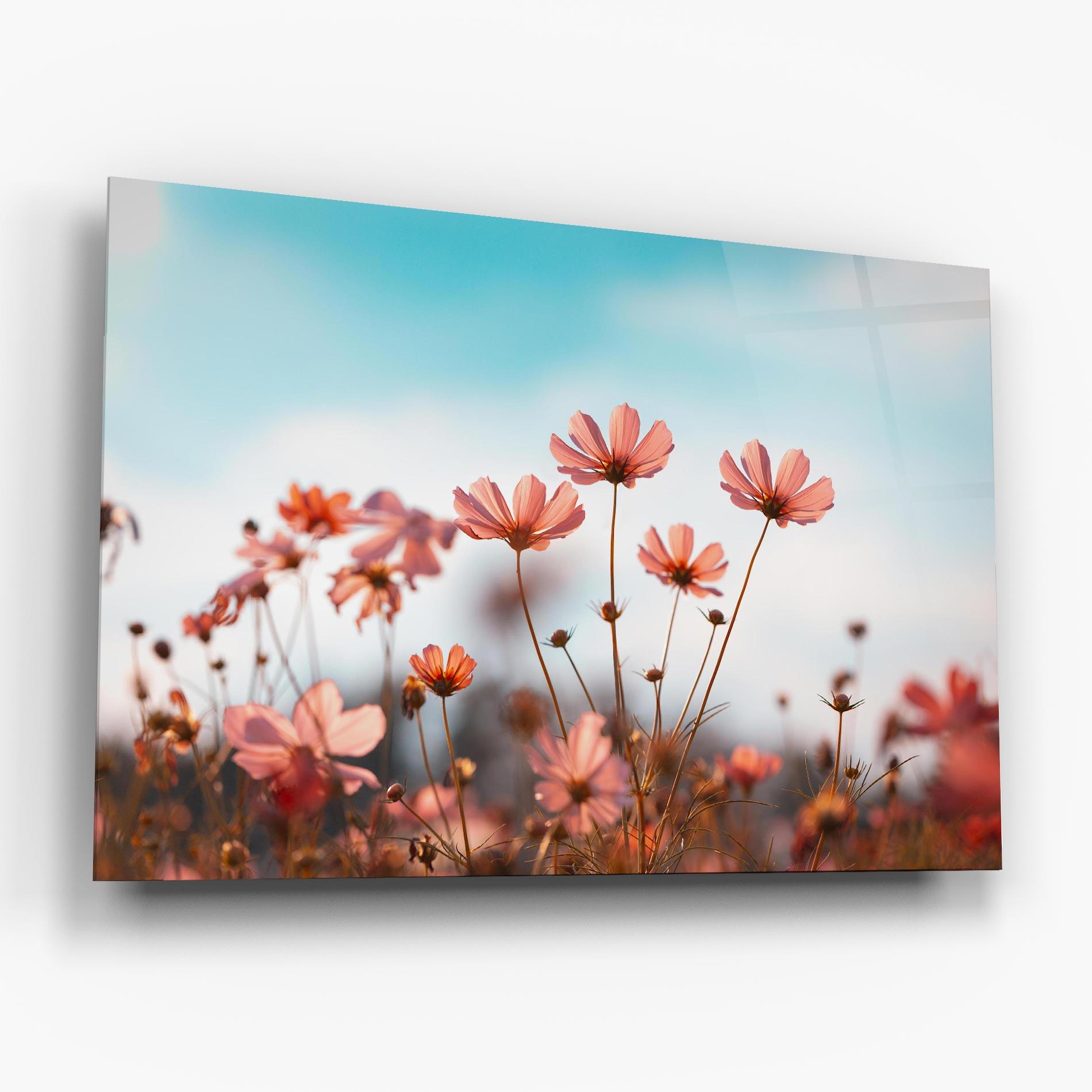 Tablou Sticla Cosmos Flowers Beautiful mockup 6
