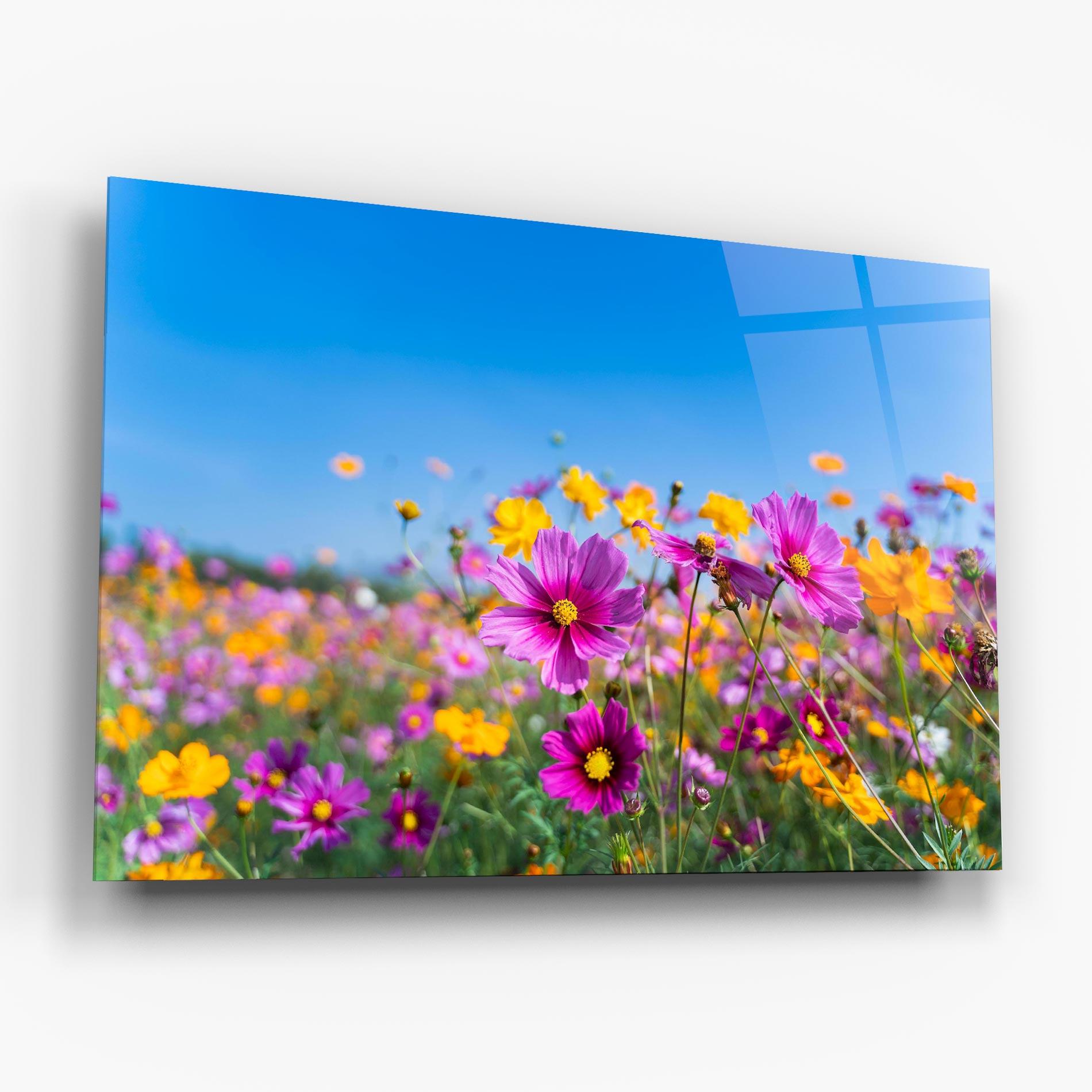 Tablou Sticla Cosmos Flowers Grassland mockup 6