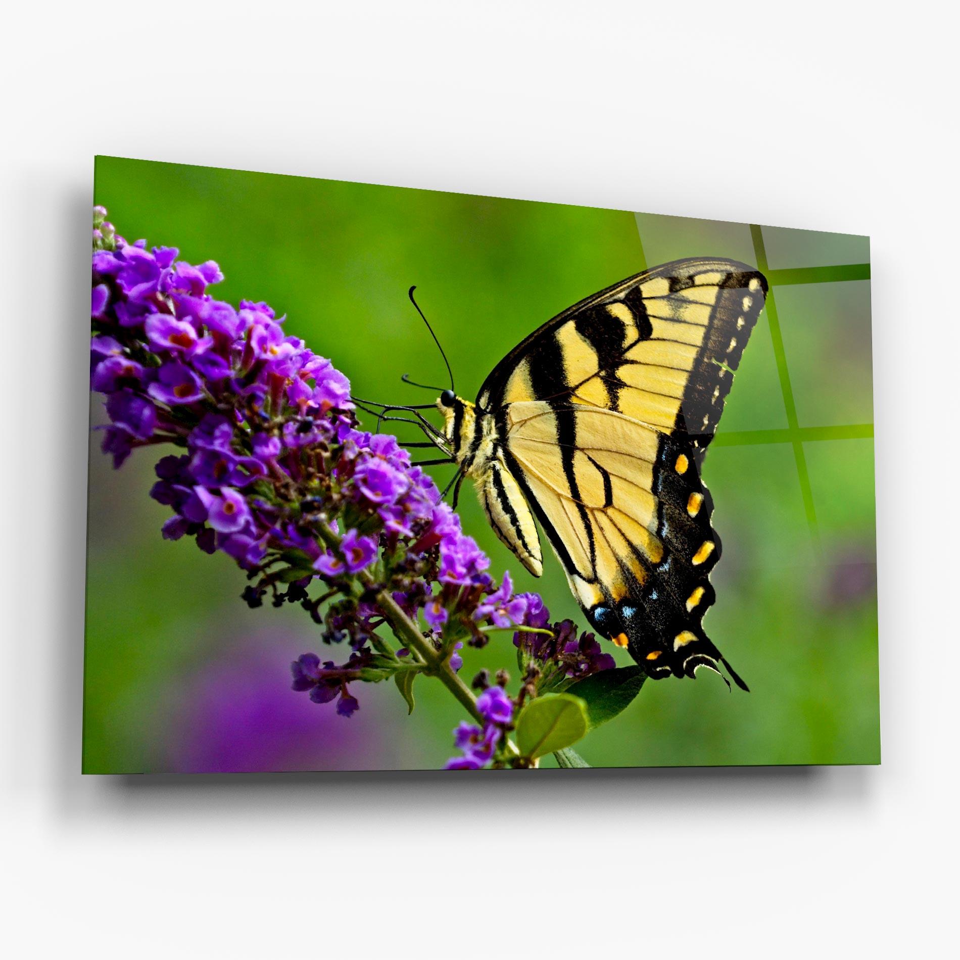 Tablou Sticla Cream Wild Butterfly mockup 6