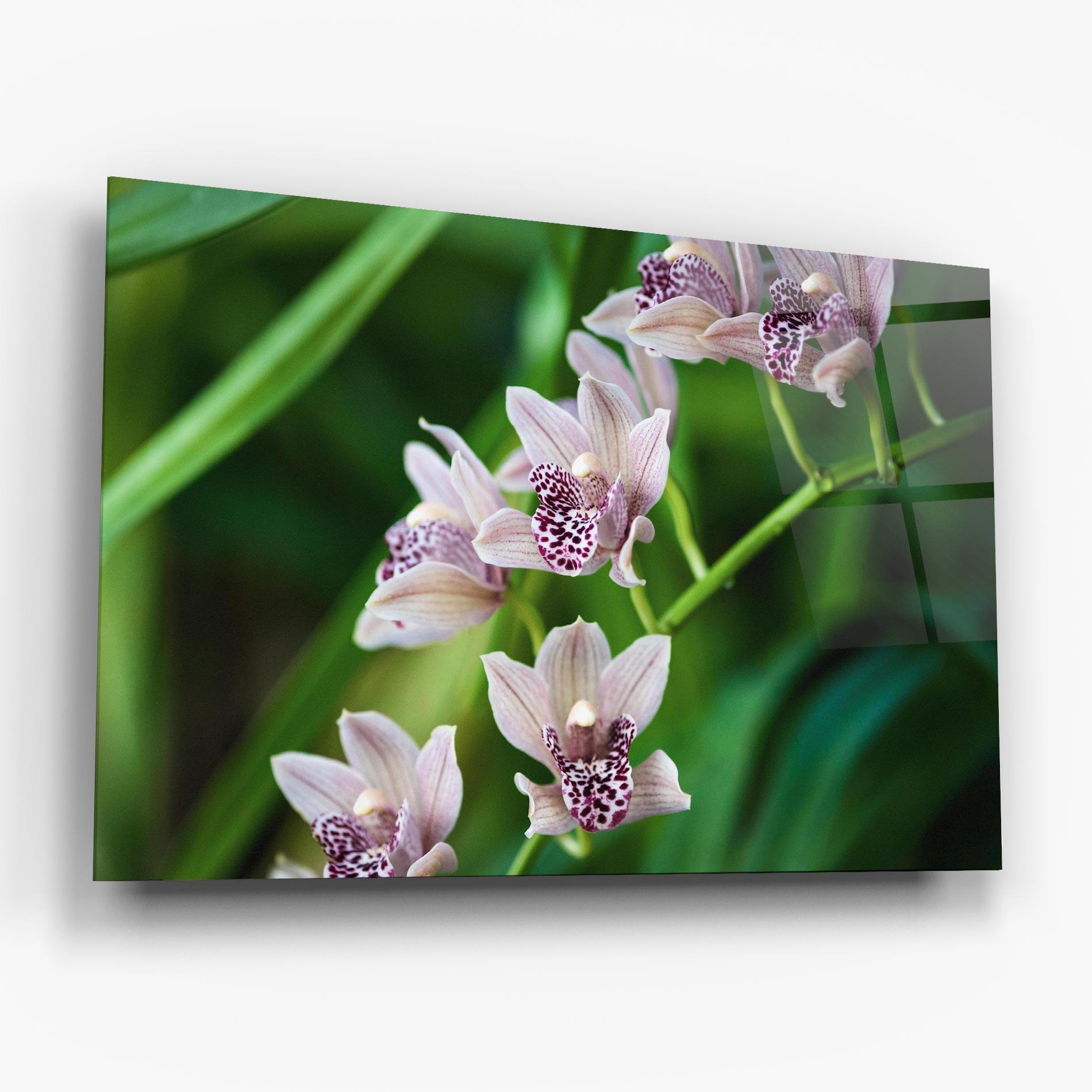 Tablou Sticla Cymbidium Orchid mockup 6