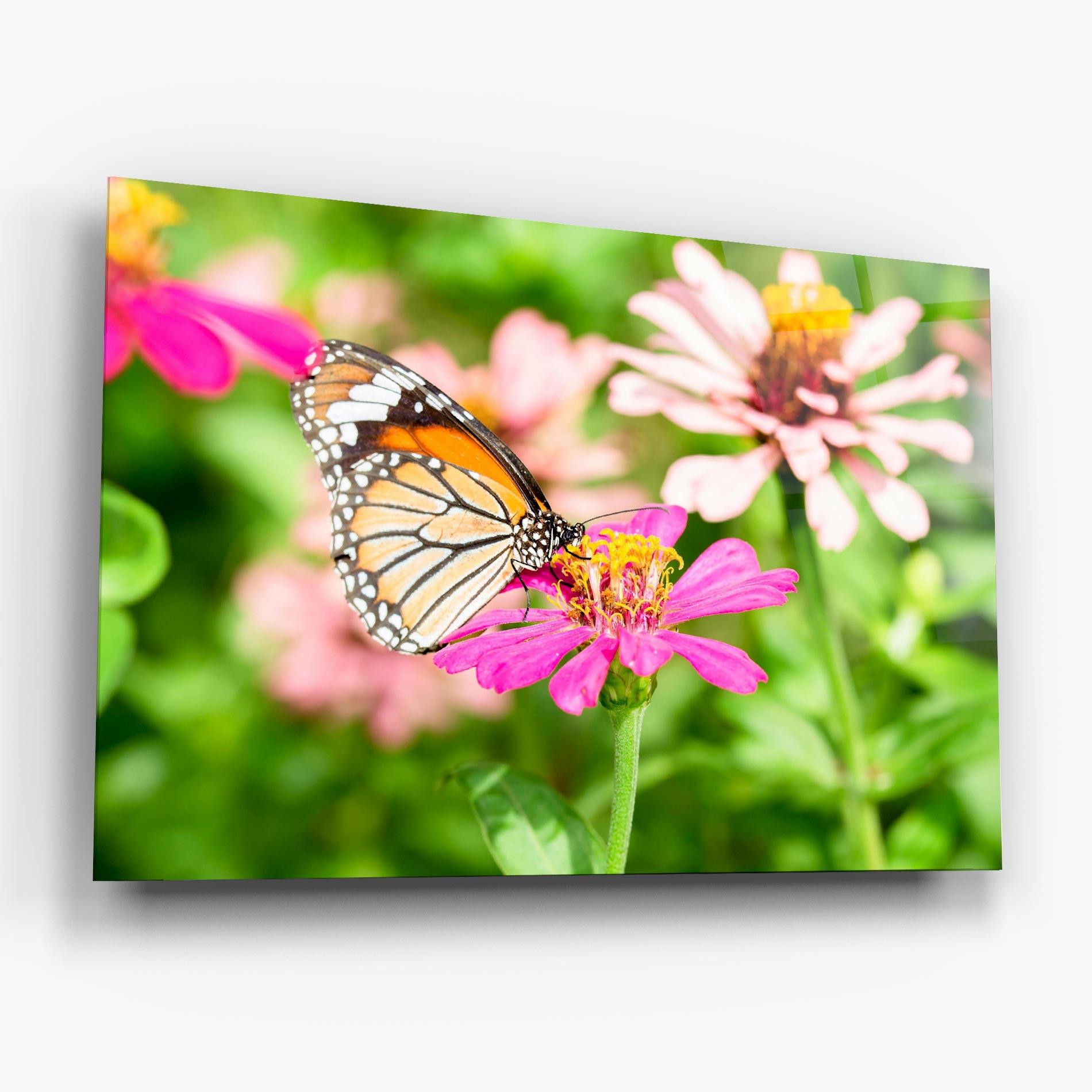 Tablou Sticla Daylight Butterfly mockup 6
