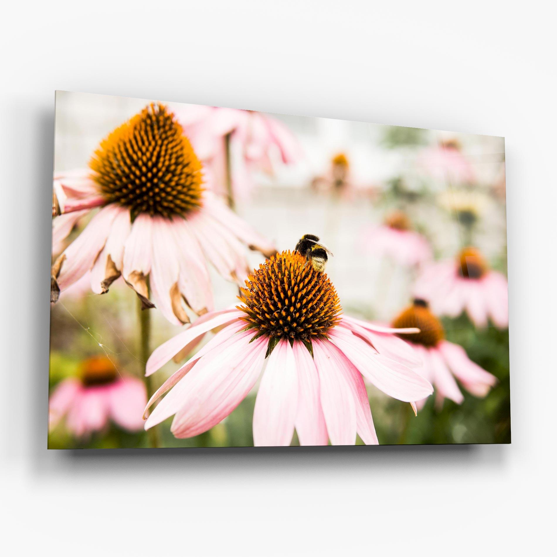 Tablou Sticla Daylight Flower mockup 6